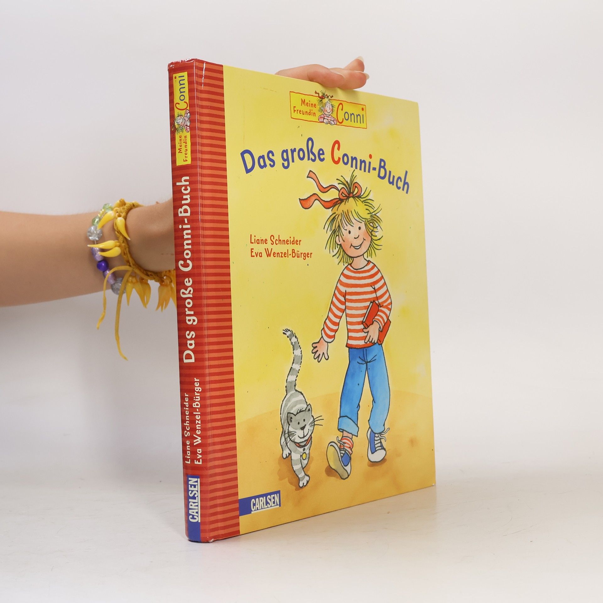 Lianne Schneider Das große Conni-Buch