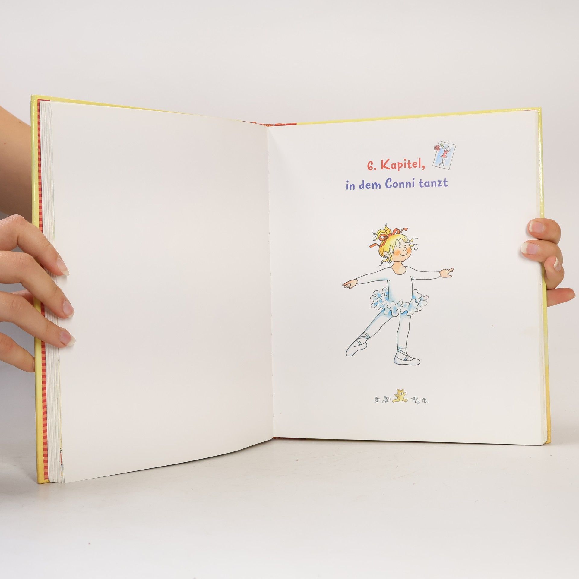 Liane Schneider Das große Conni-Buch