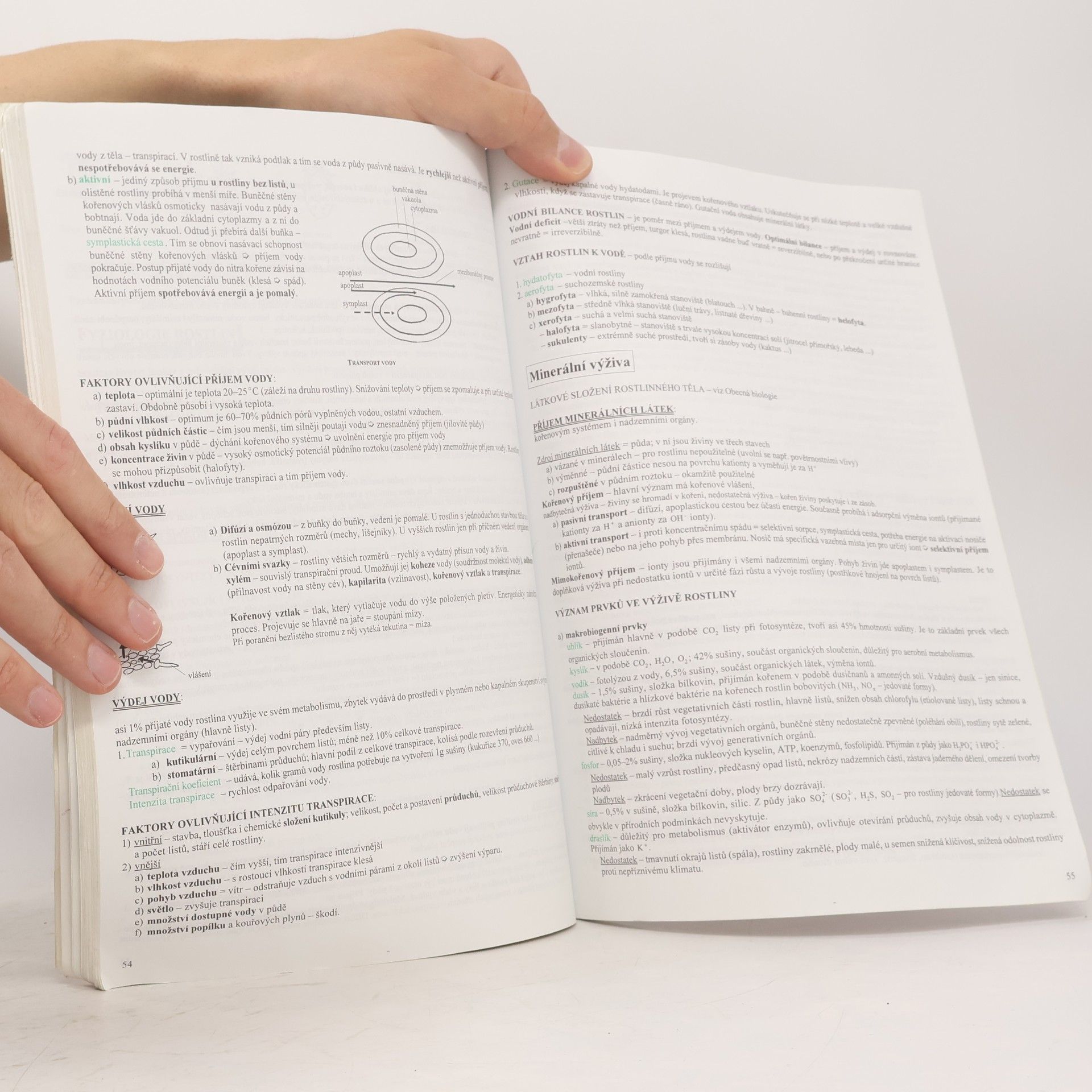 Hana Hančová Biologie I. v kostce : [obecná biologie, mikrobiologie, botanika, mykologie, ekologie, genetika] : pro střední školy