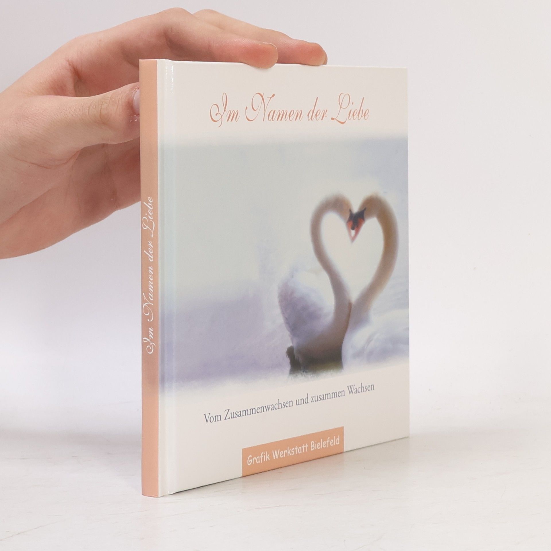 Jochen Mariss Im Namen der Liebe