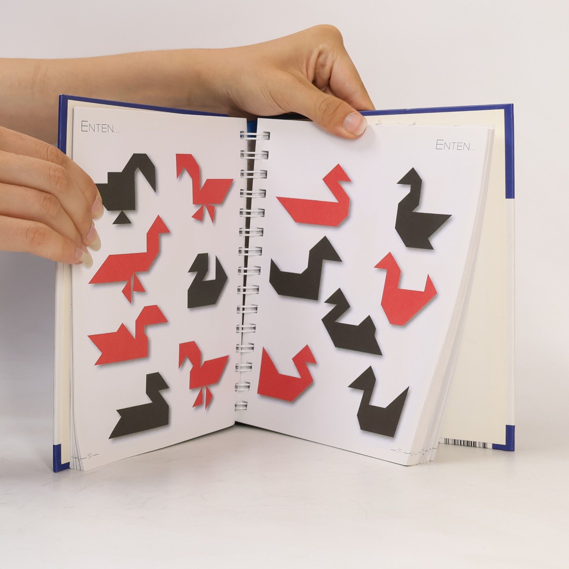 Daniel Picon Tangram