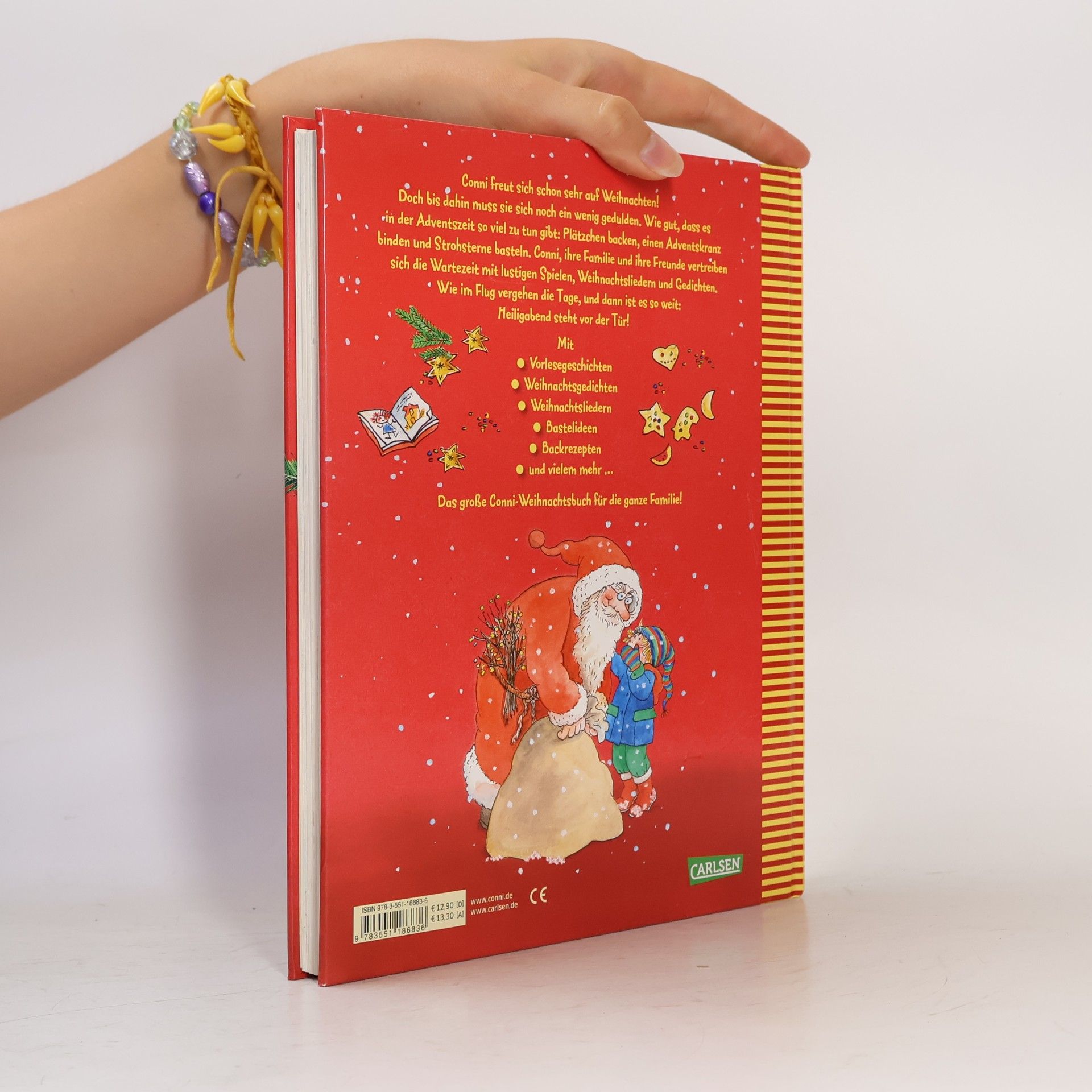 Liane Schneider Das große Conni-Weihnachtsbuch