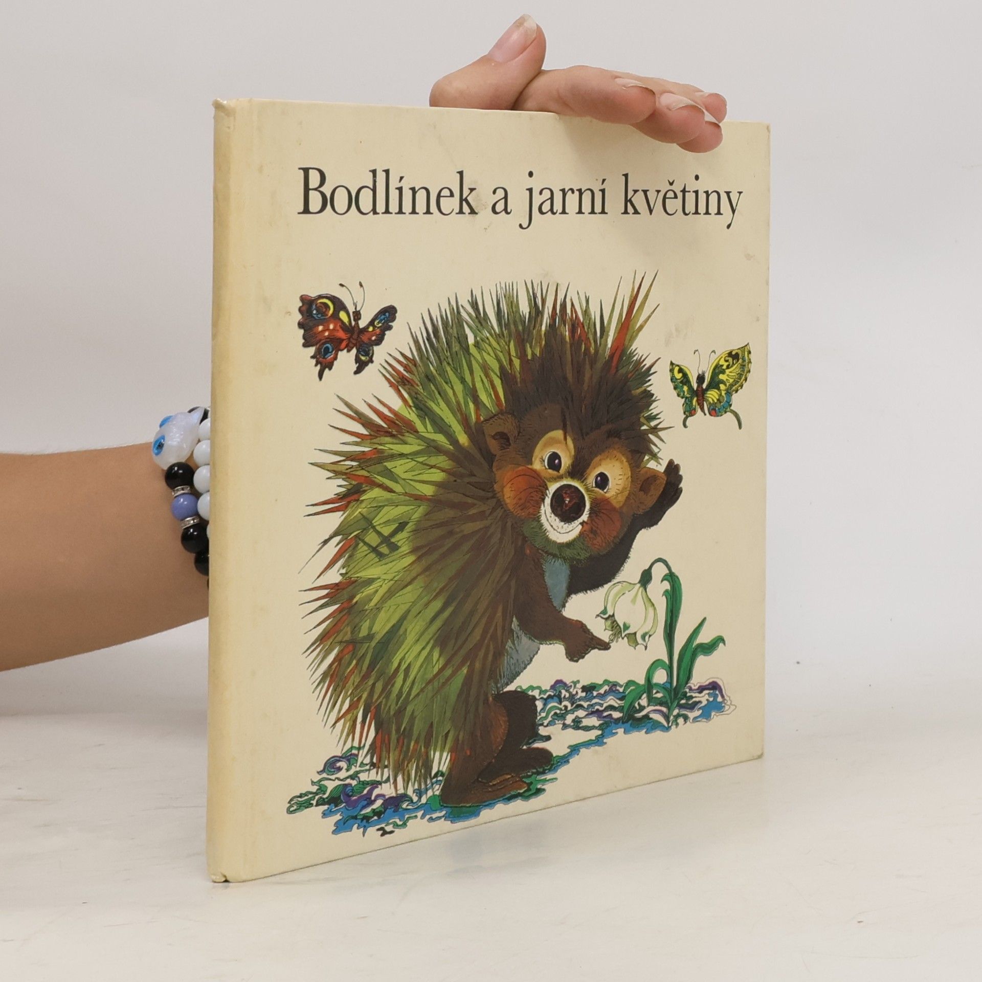 Bodlínek a jarní květiny