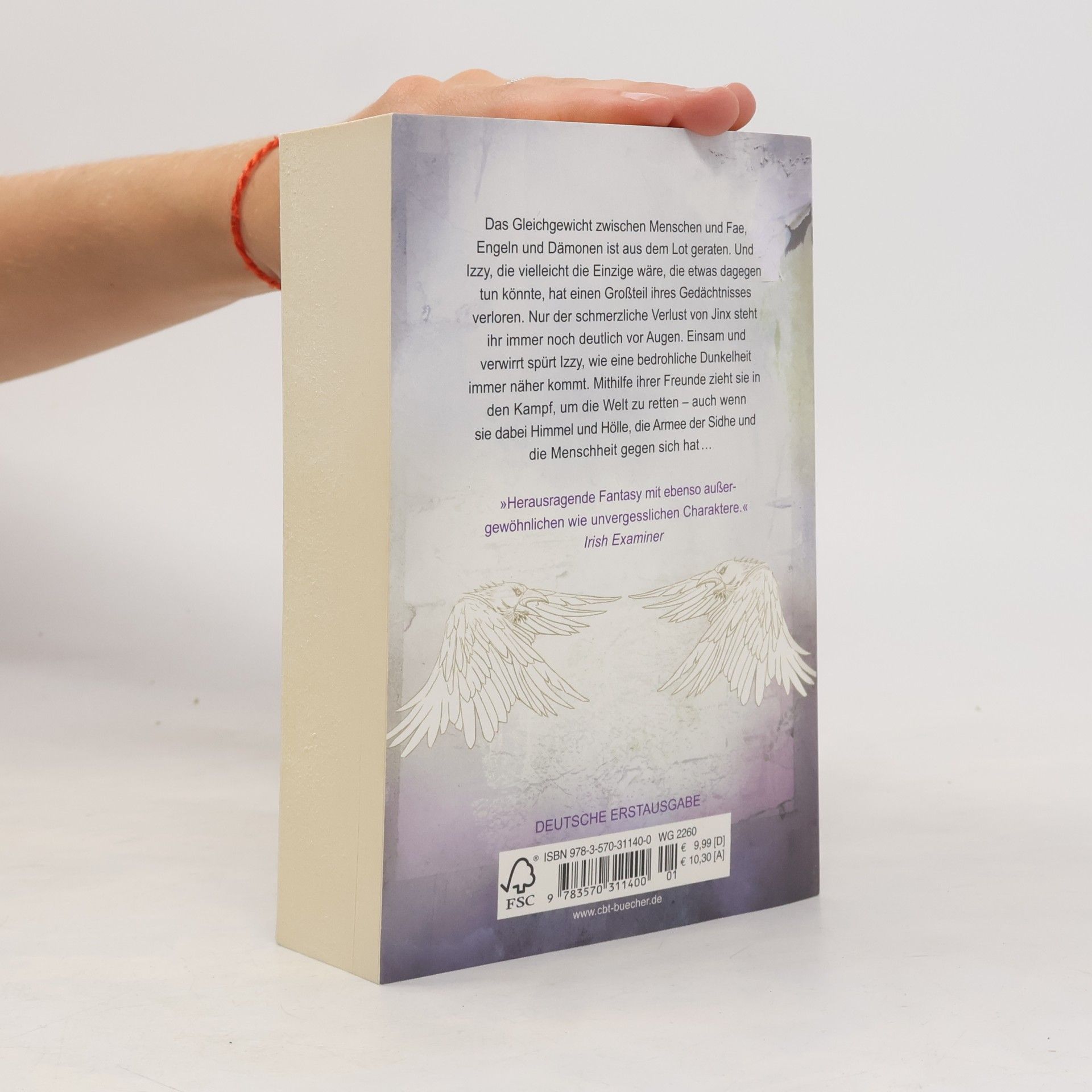 Ruth Frances Long Die Chroniken der Fae - in Liebe und Hoffnung