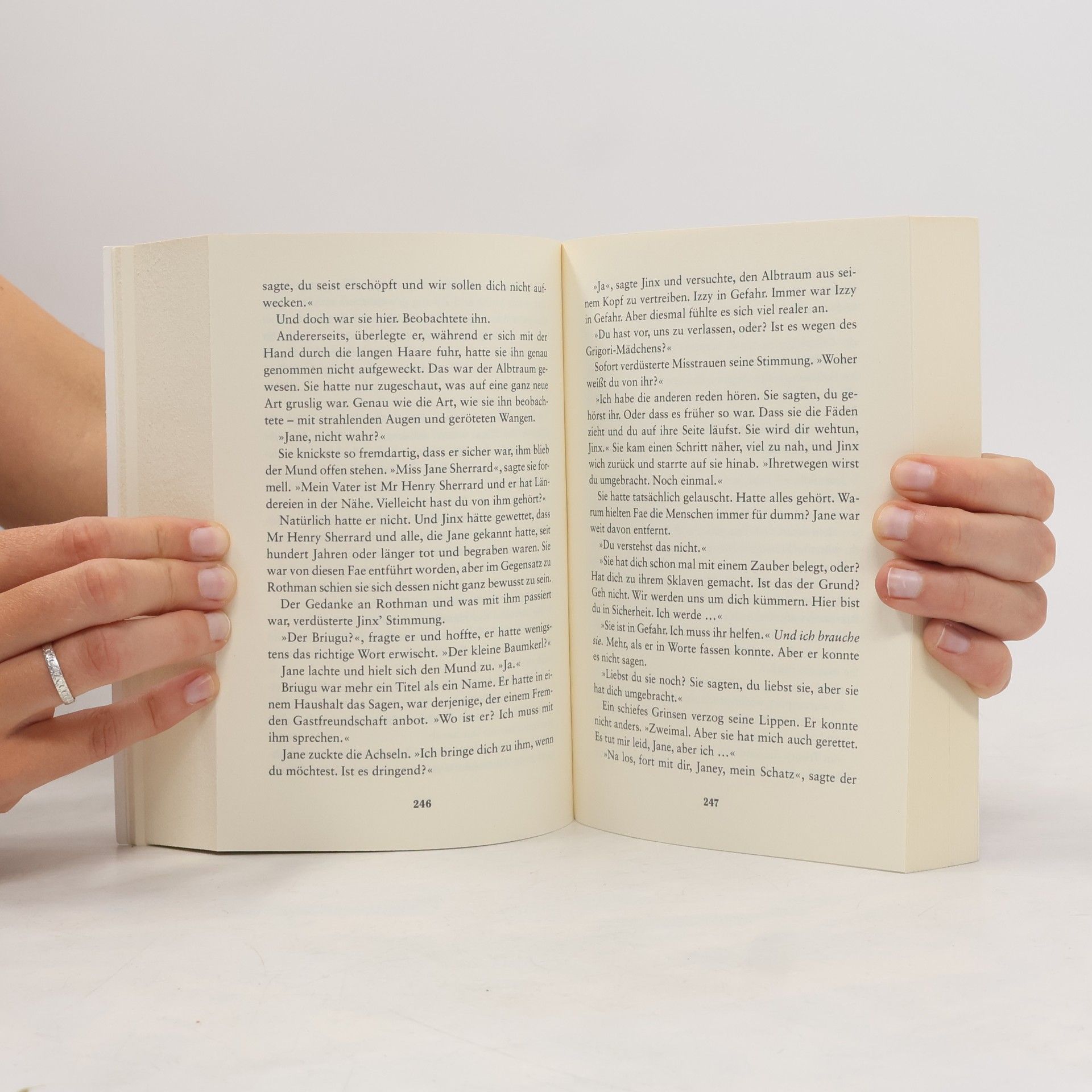 Ruth Frances Long Die Chroniken der Fae - in Liebe und Hoffnung