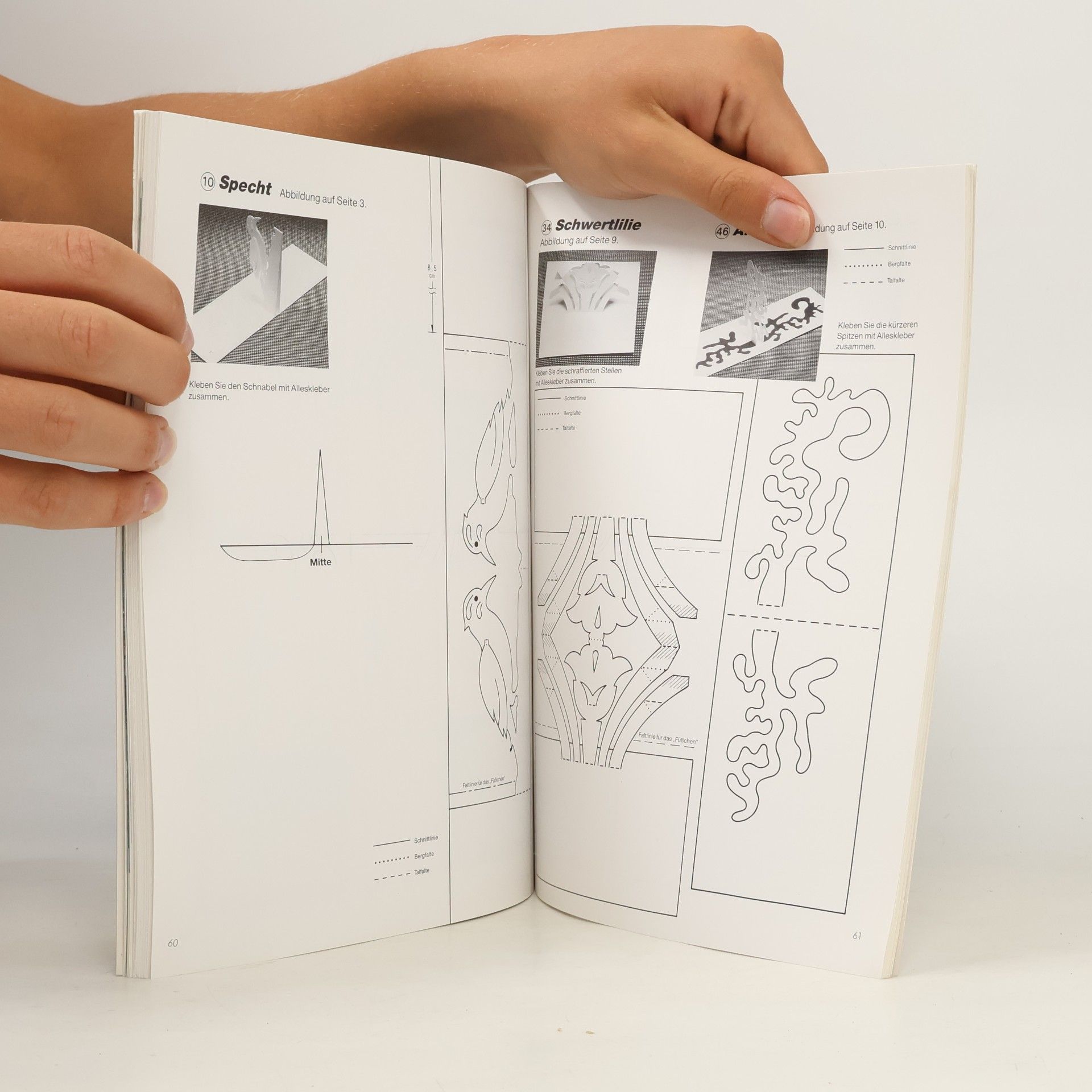 Masahiro Chatani Japanische Papierkunst