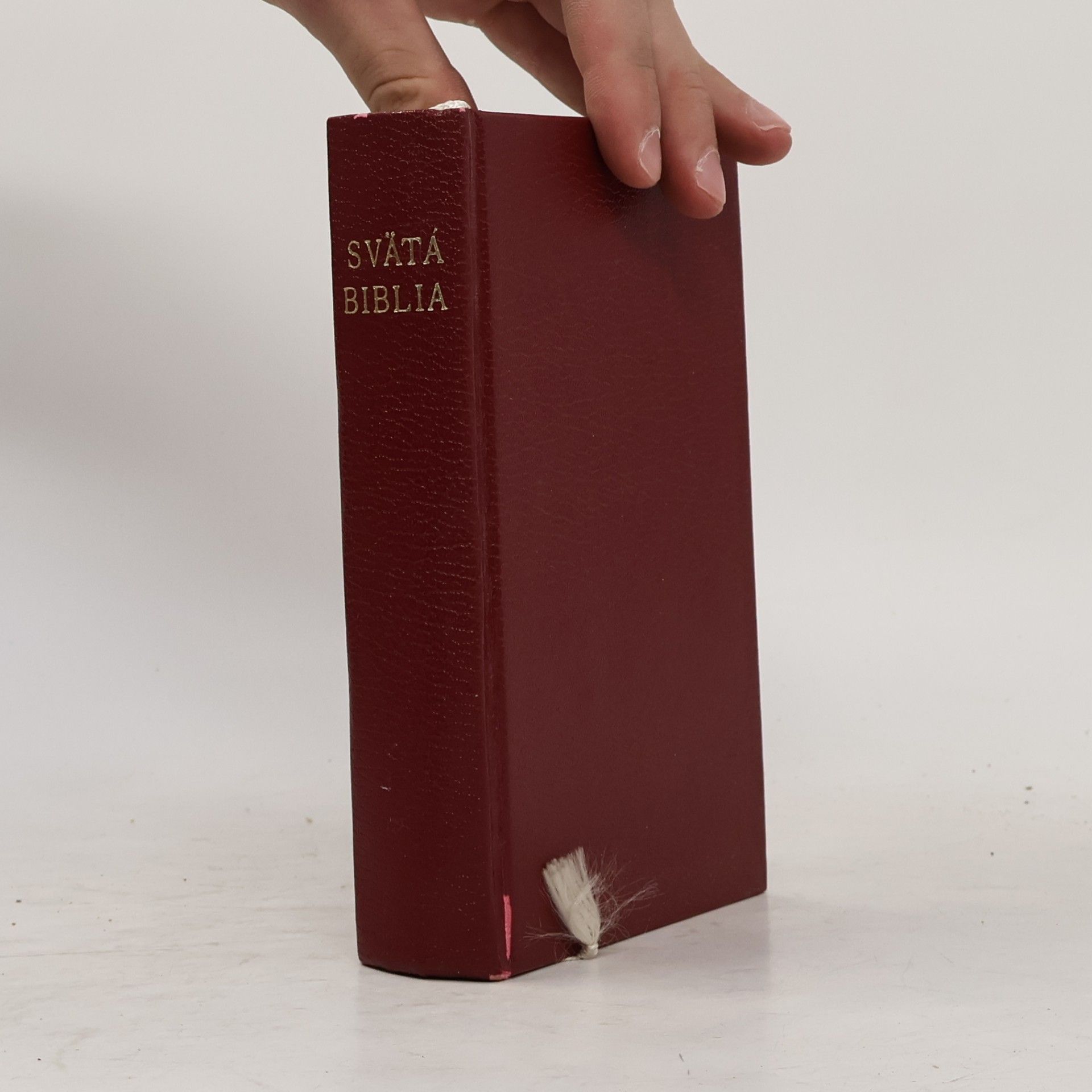 kolektiv Svätá Biblia