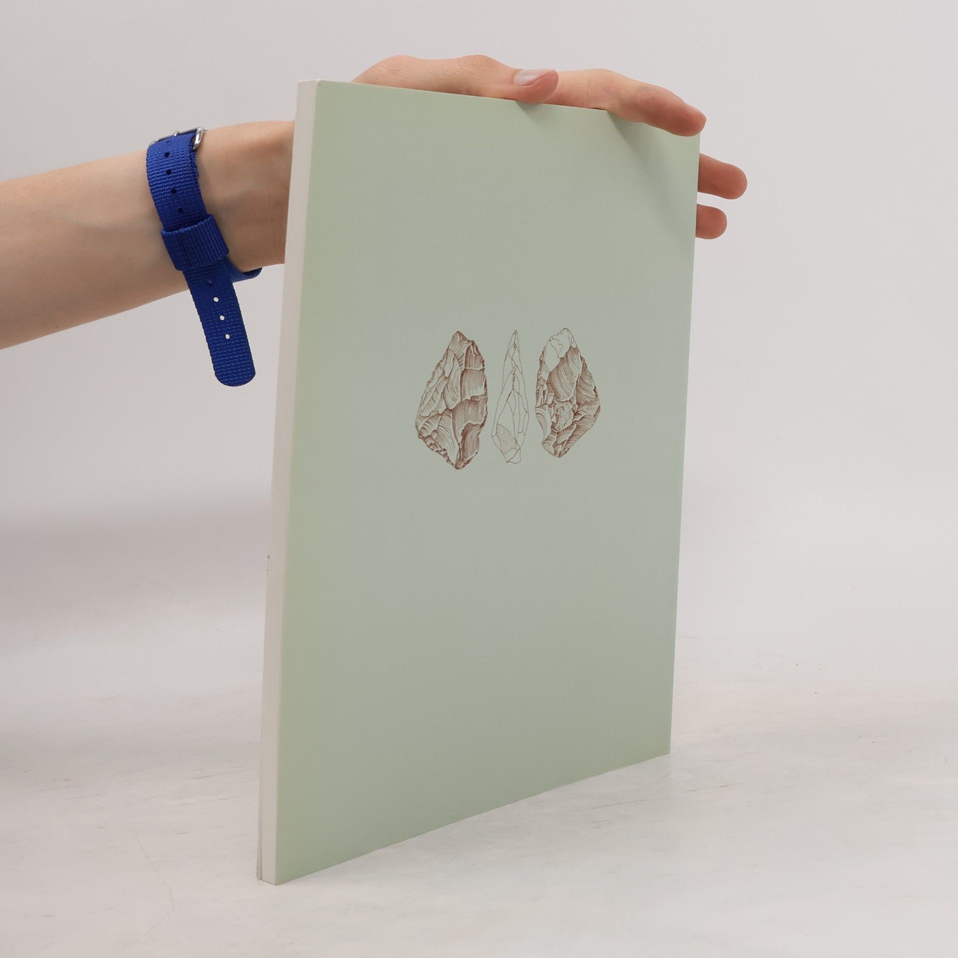 Autorenkollektiv Rechtsrheinisches Köln. Jahrbuch für Geschichte und Landeskunde 31