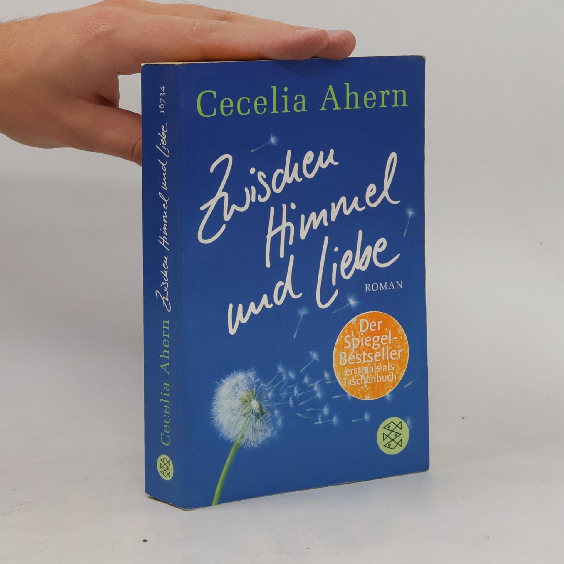 Cecelia Ahern Zwischen Himmel und Liebe