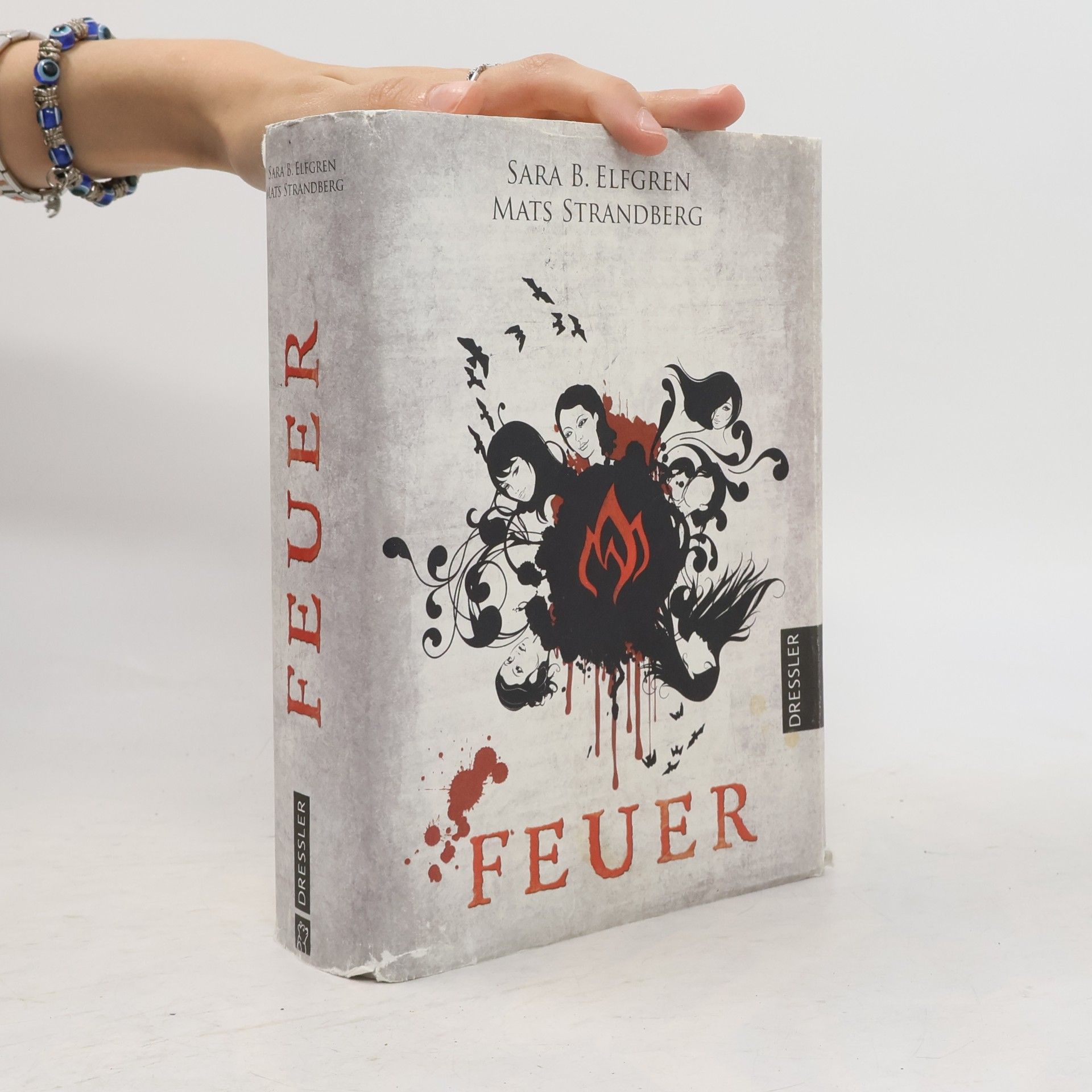 Feuer. Engelsfors- Trilogie 2