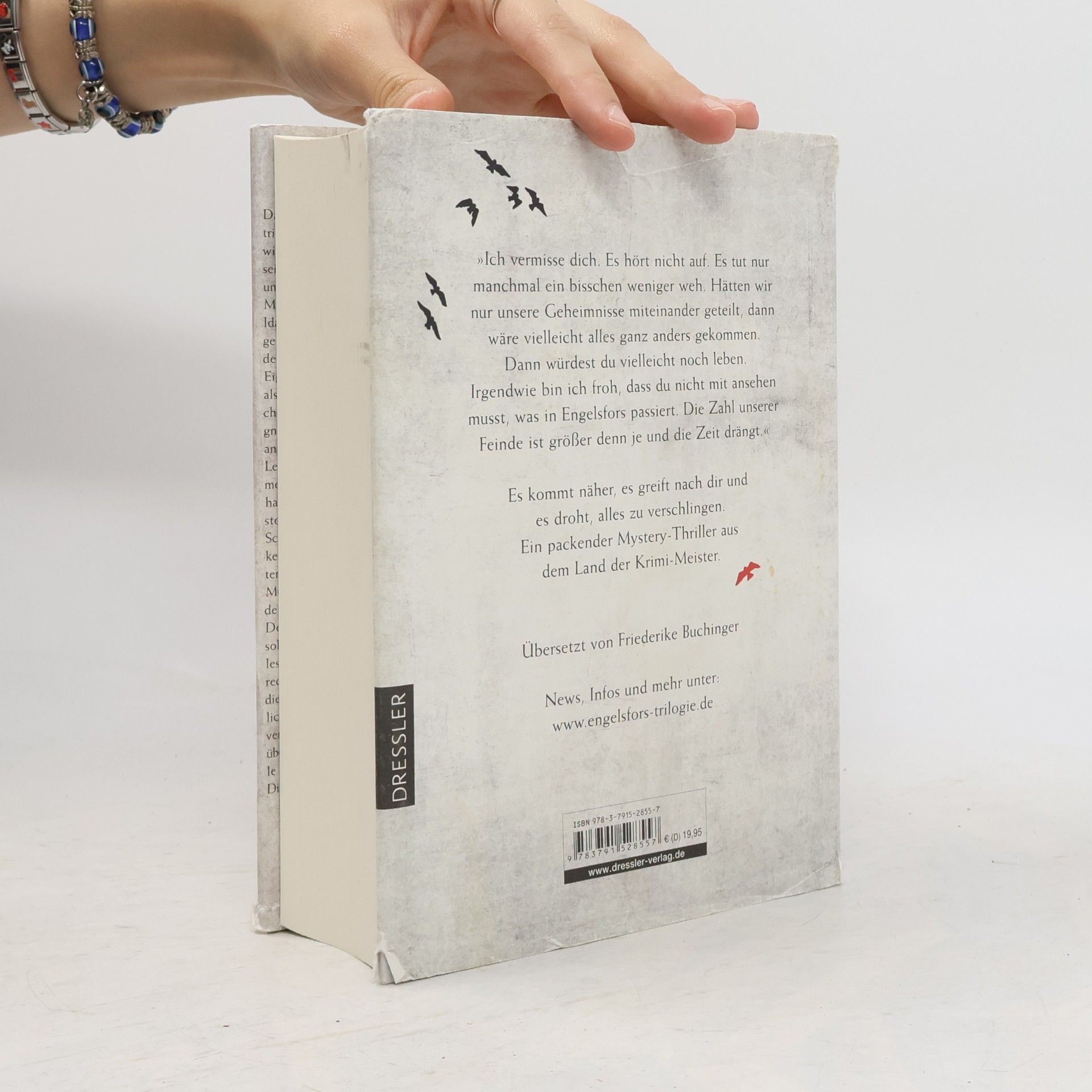 Sara B. Elfgren Feuer. Engelsfors- Trilogie 2