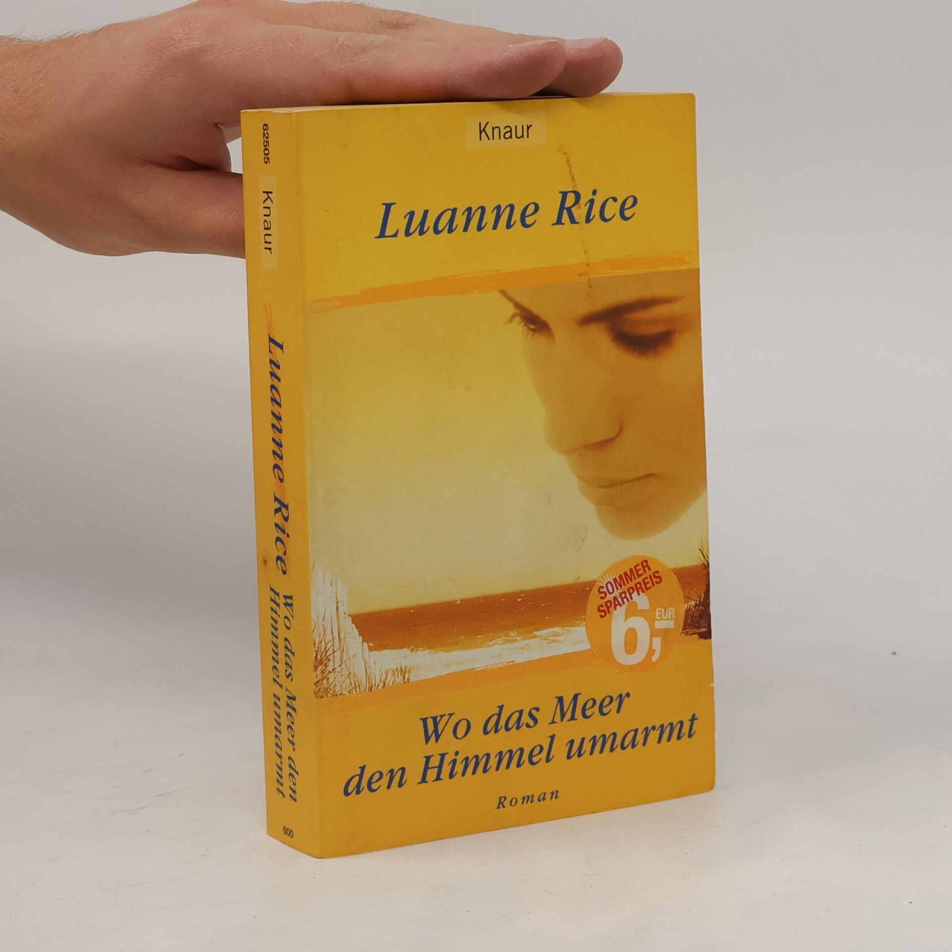Luanne Rice Wo das Meer den Himmel umarmt