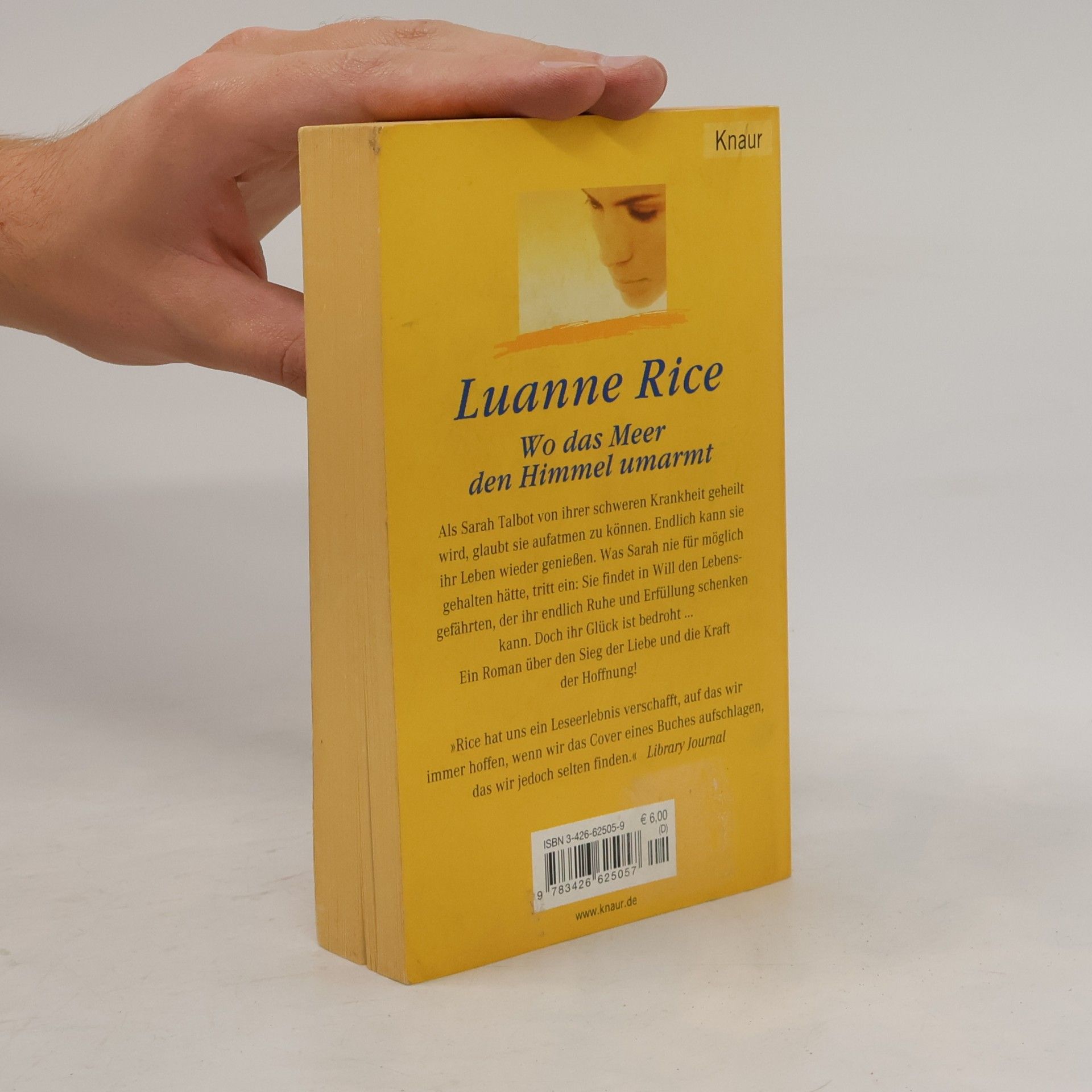 Luanne Rice Wo das Meer den Himmel umarmt
