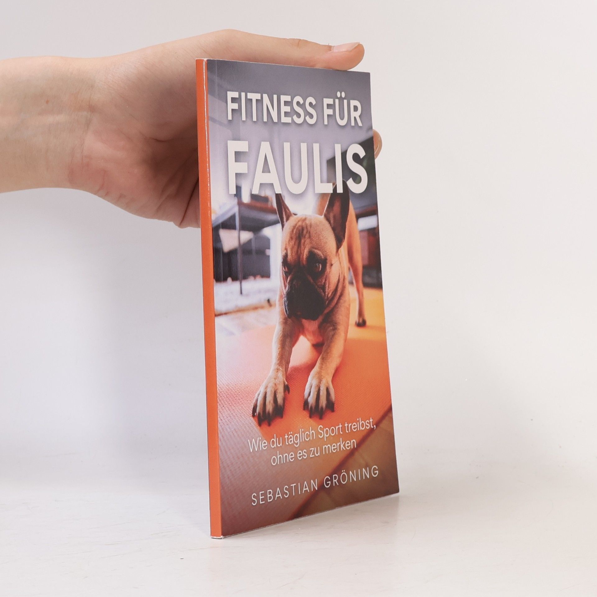 Sebastian Gröning Fitness für Faulis