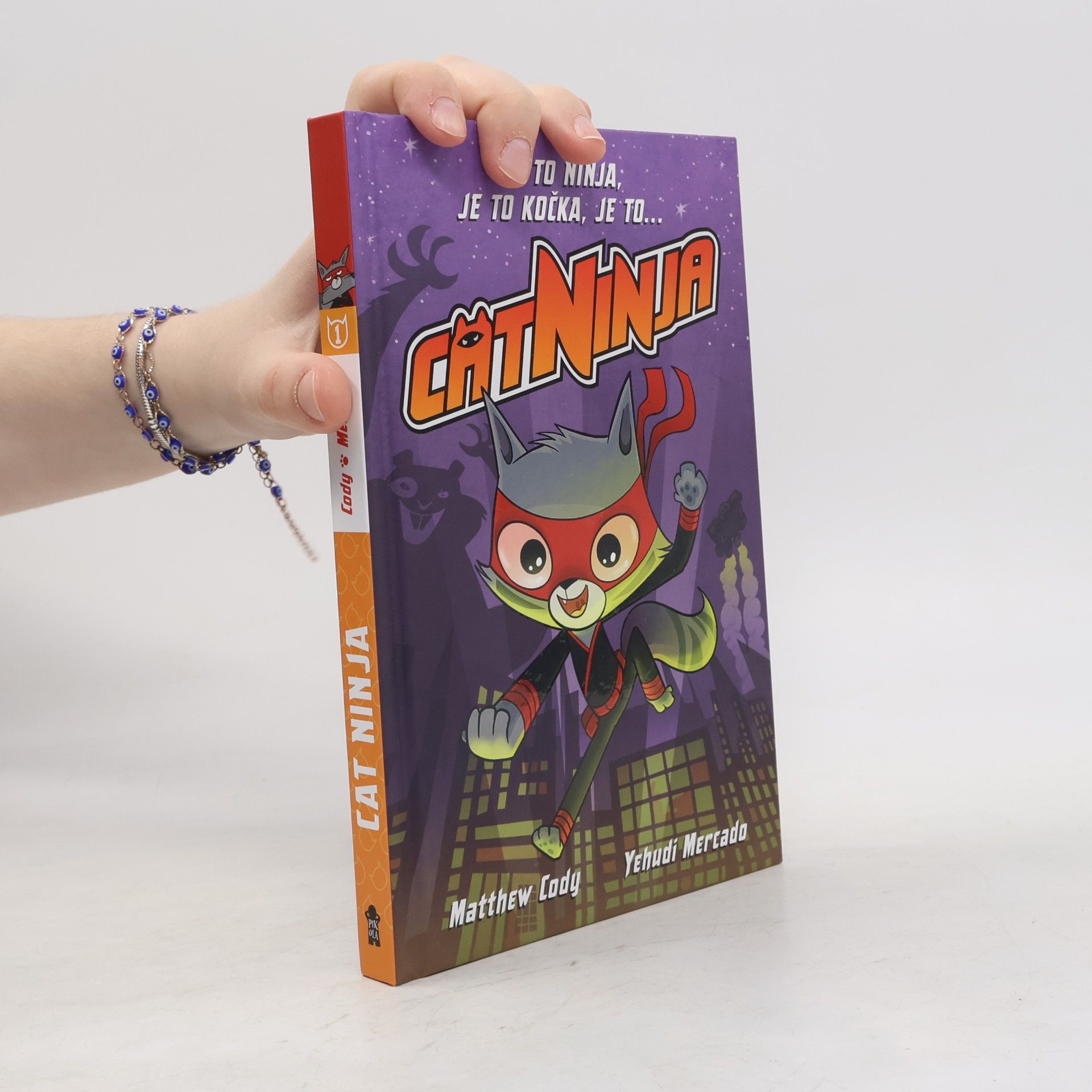 Cat Ninja