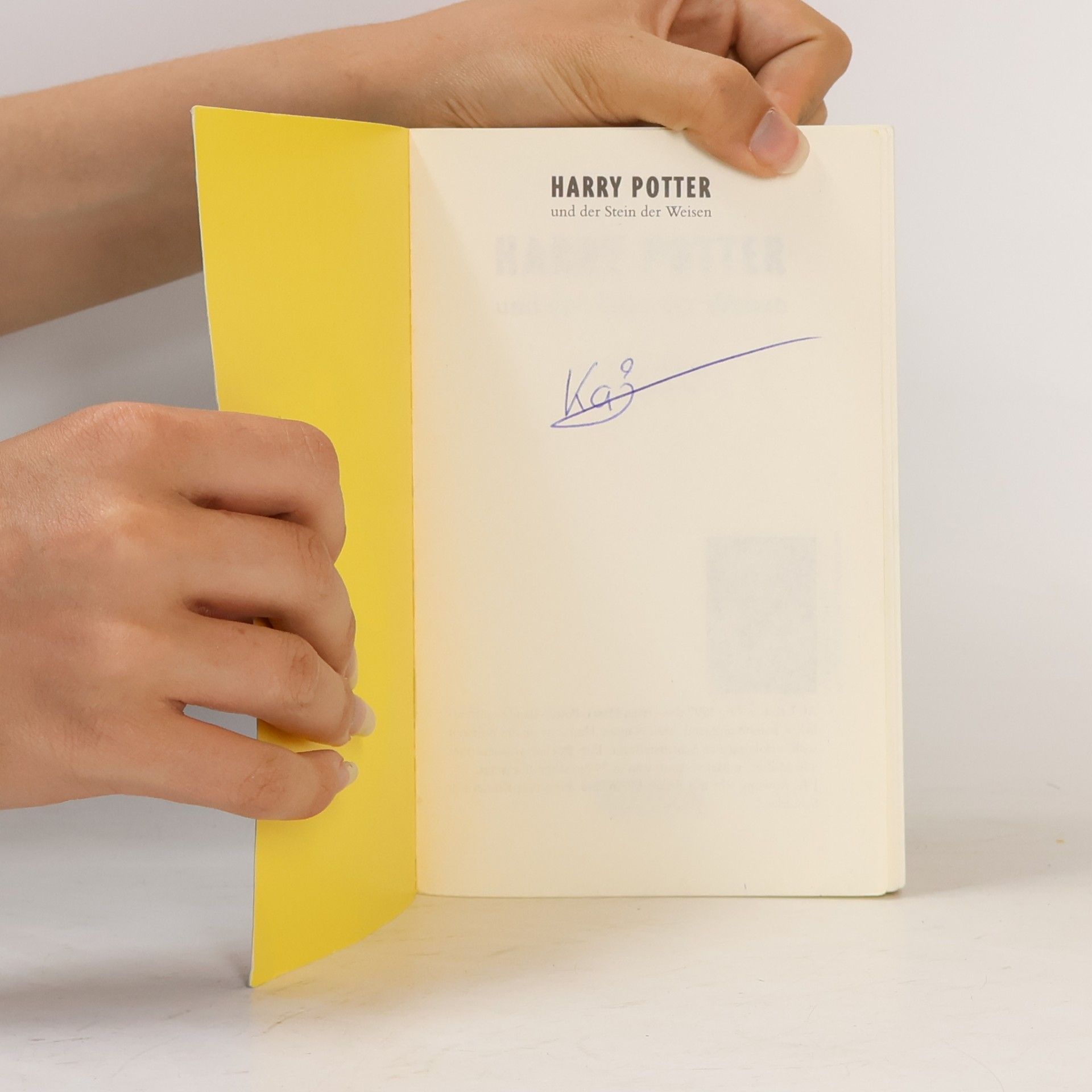 J. K. Rowling Harry Potter und der Stein der Weisen