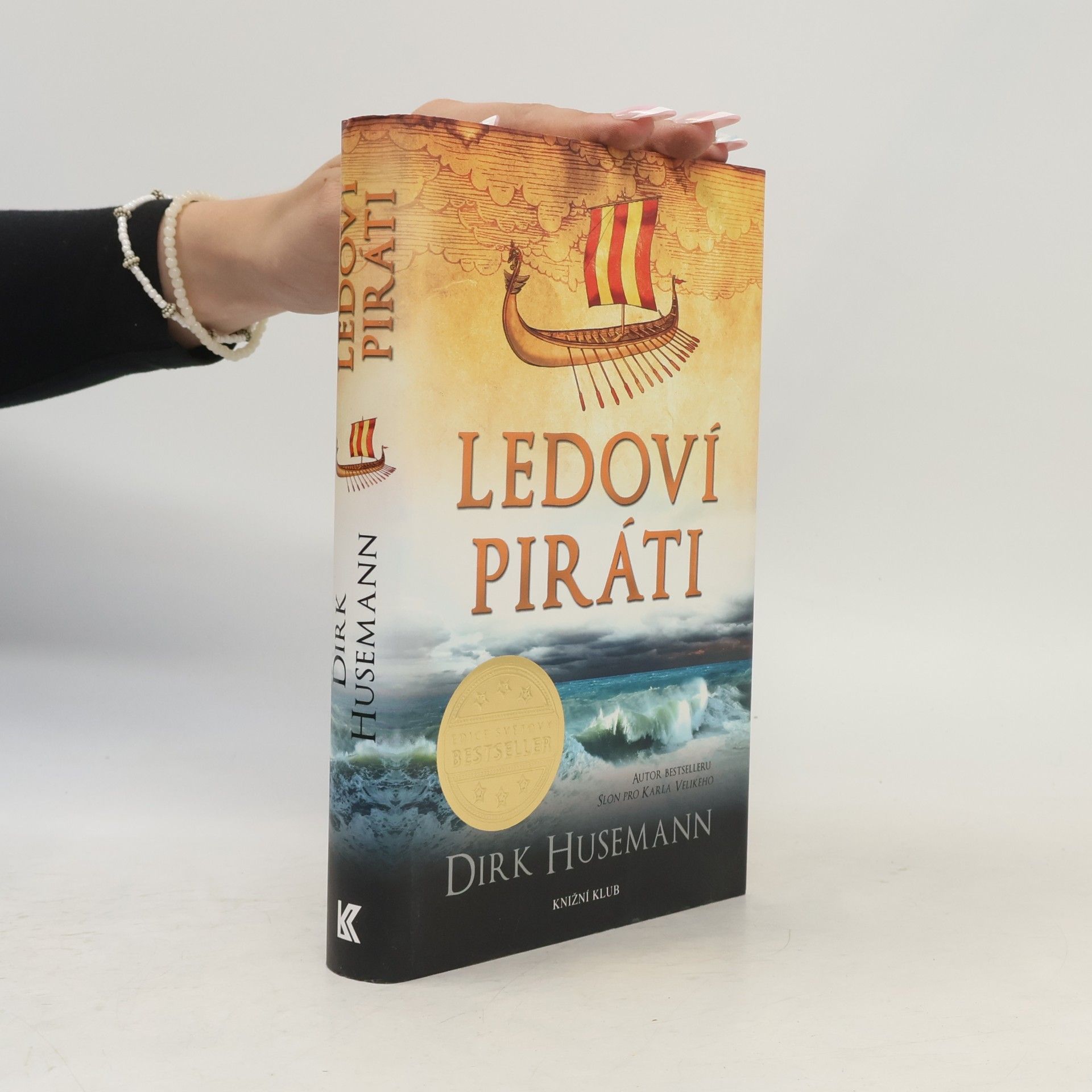 Dirk Husemann Ledoví piráti