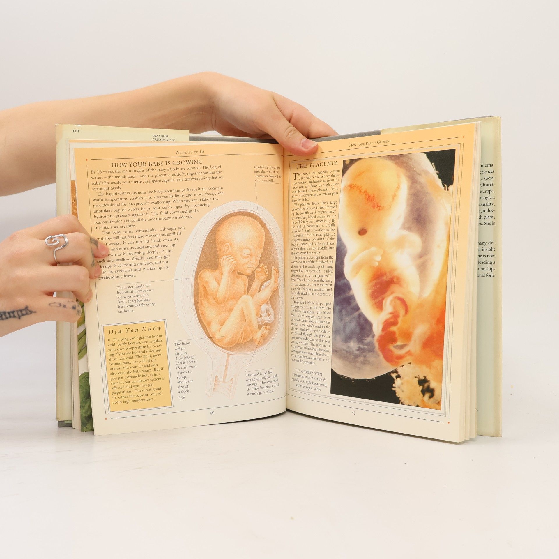Sheila Kitzinger Pregnancy Day By Day
