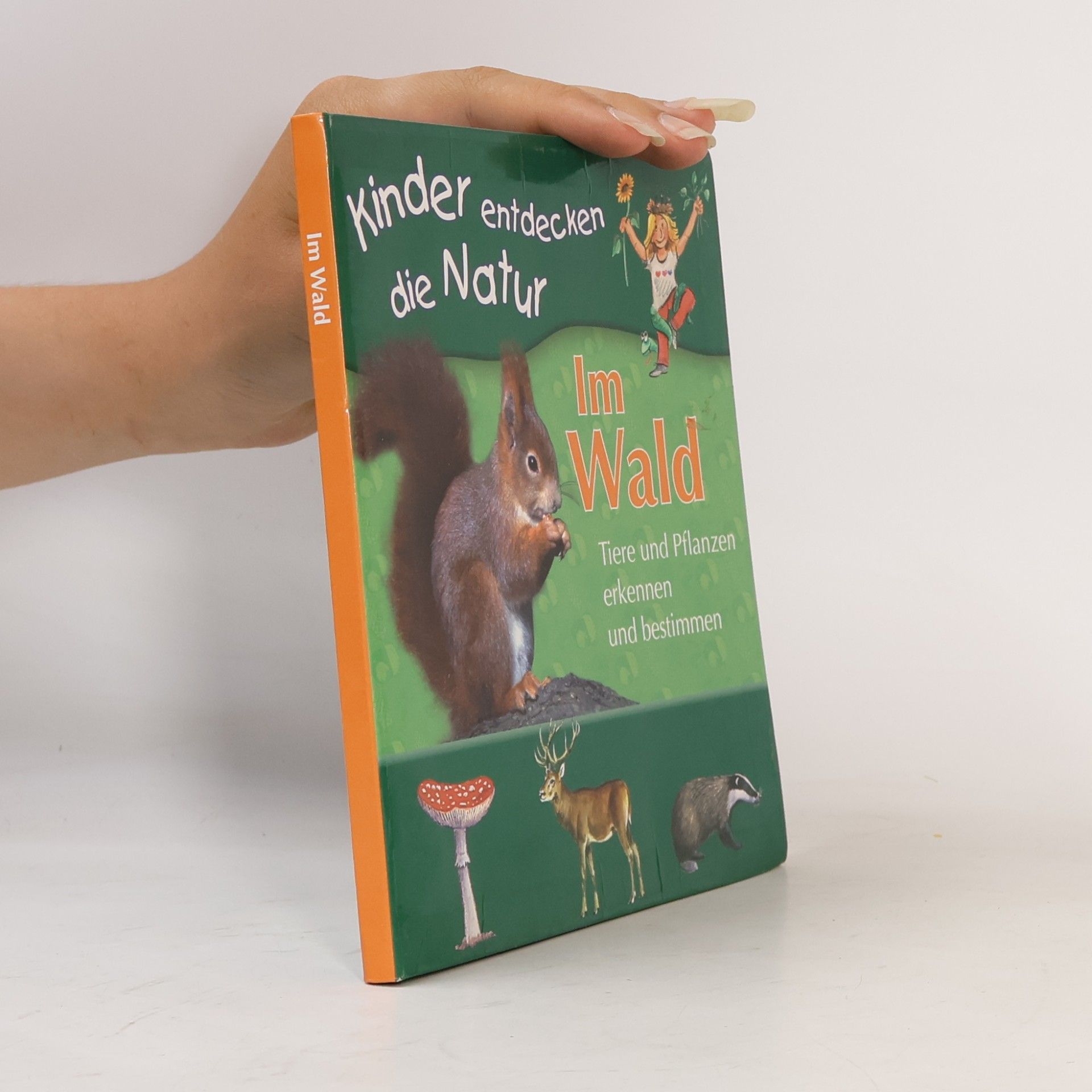 Kolektiv autorů Kinder die entdecken die Natur. Im Wald