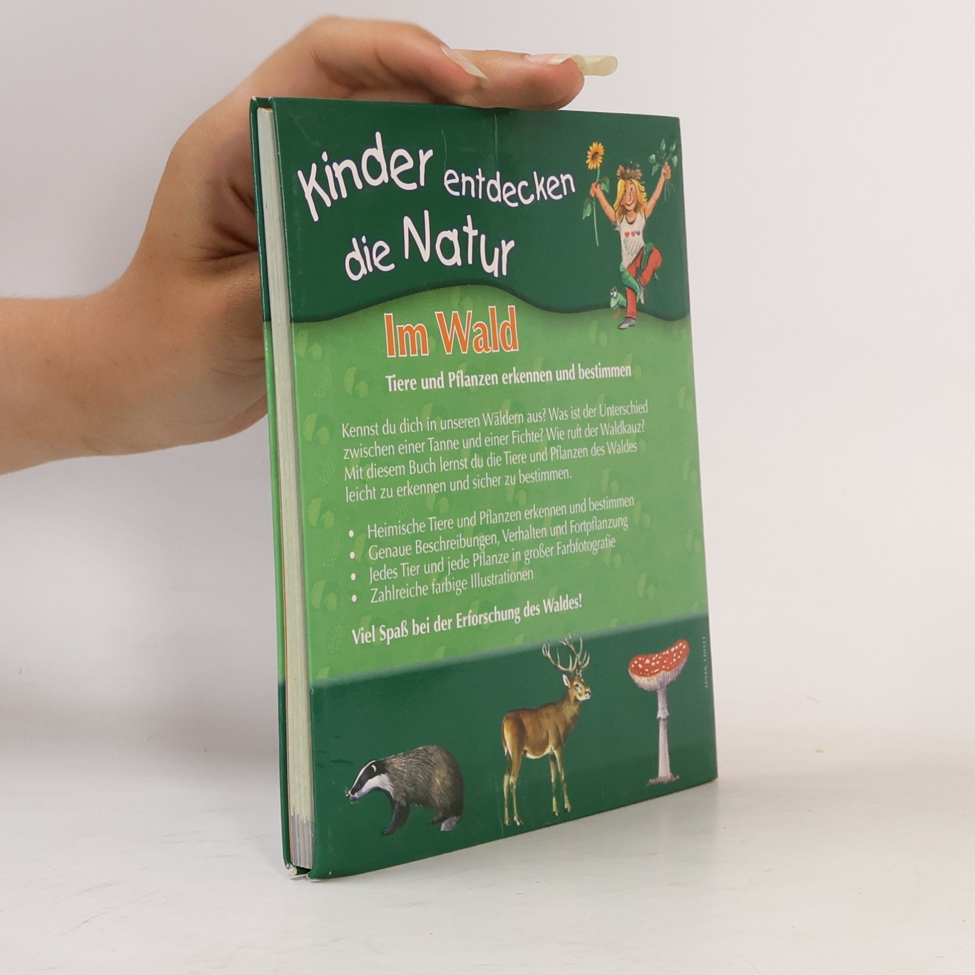 Autorenkollektiv Kinder die entdecken die Natur. Im Wald