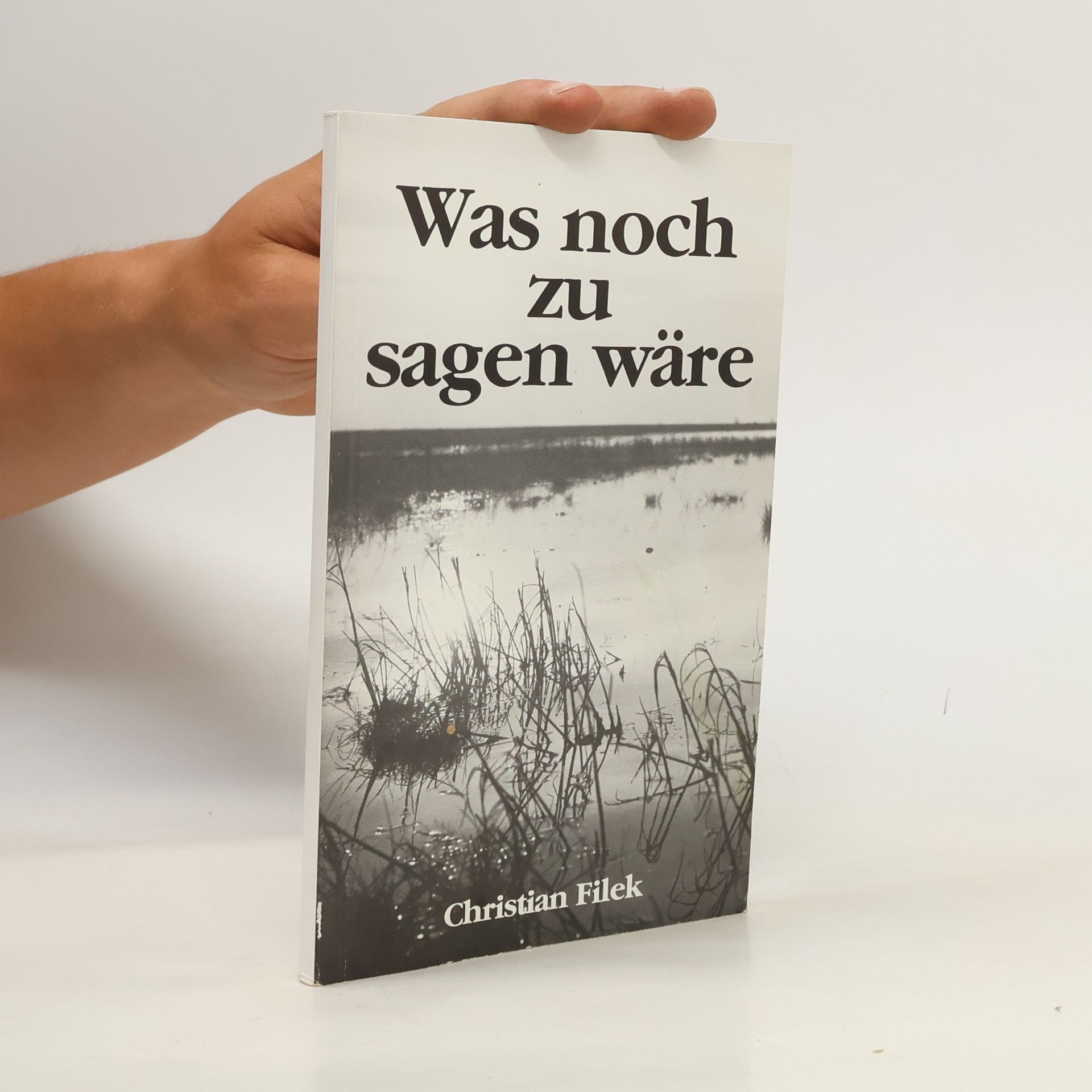 Christian Filek Was noch zu sagen wäre