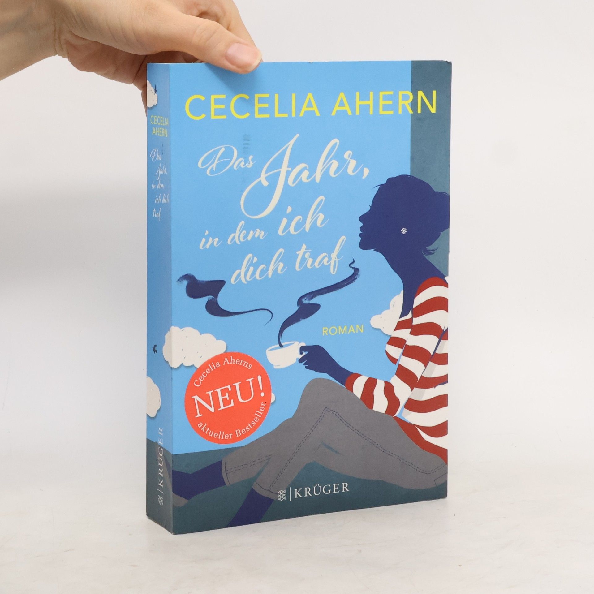 Cecelia Ahern Das Jahr, in dem ich dich traf