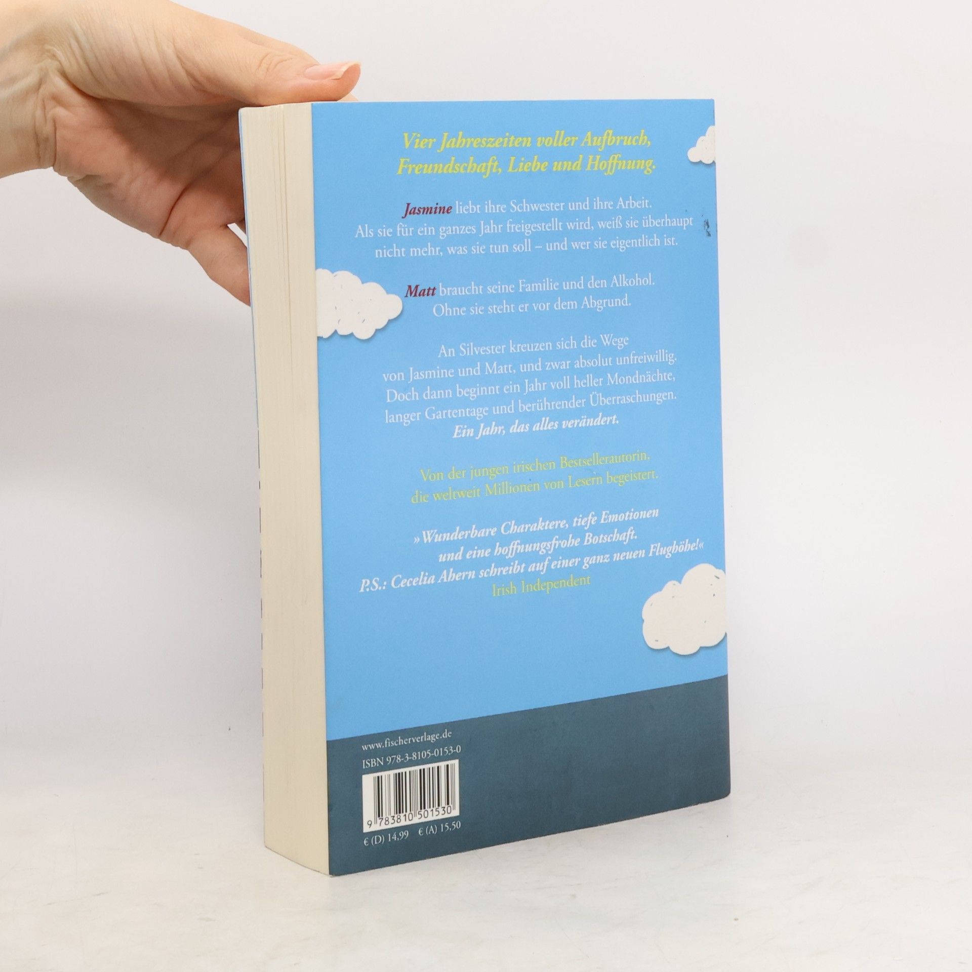 Cecelia Ahern Das Jahr, in dem ich dich traf