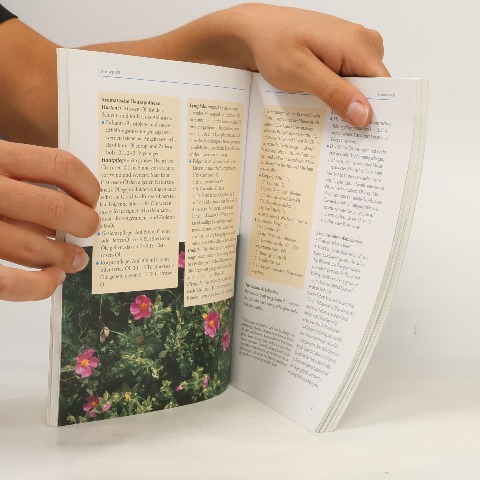 Katharina Zeh Handbuch ätherische Öle