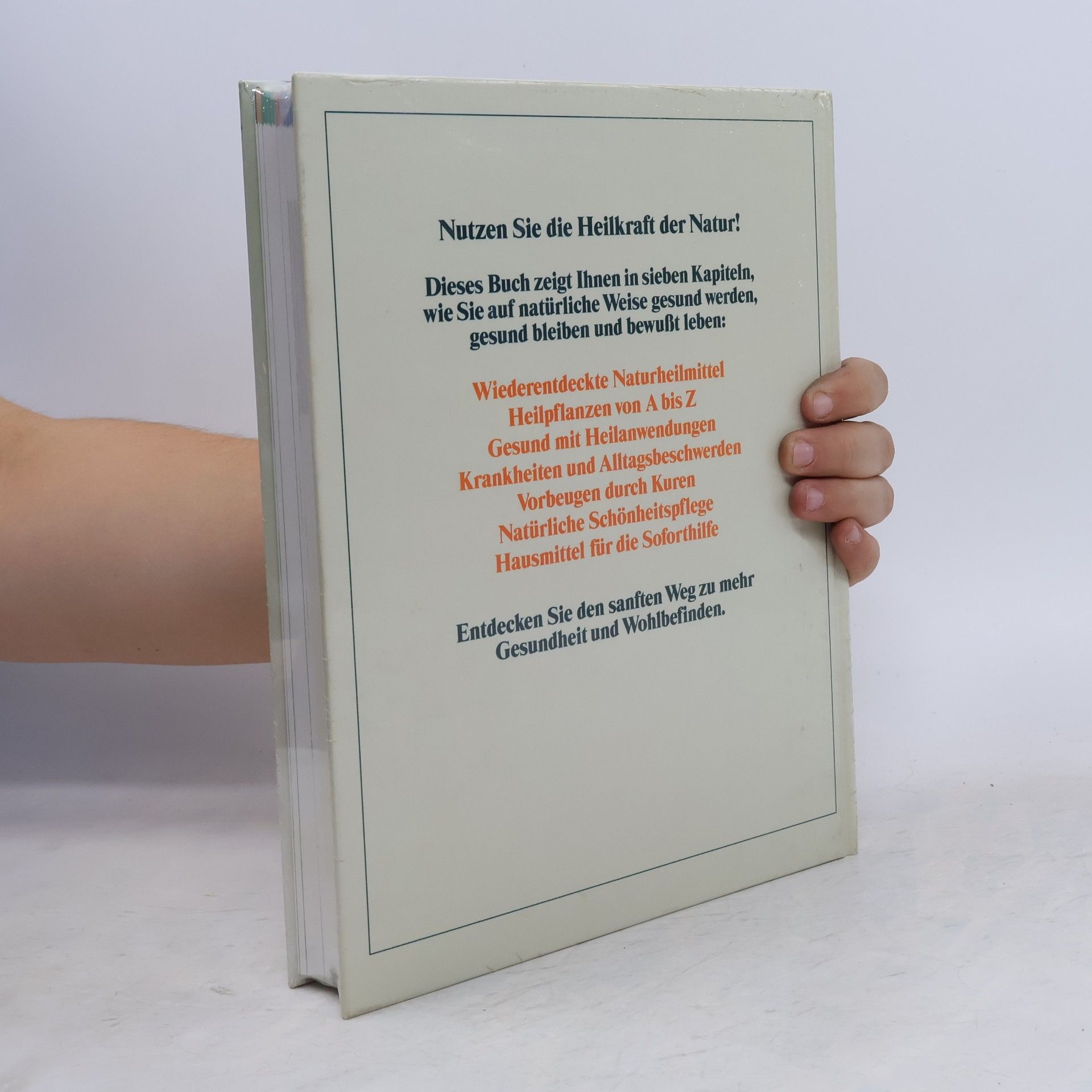 Autorenkollektiv Das große Buch der Hausmittel