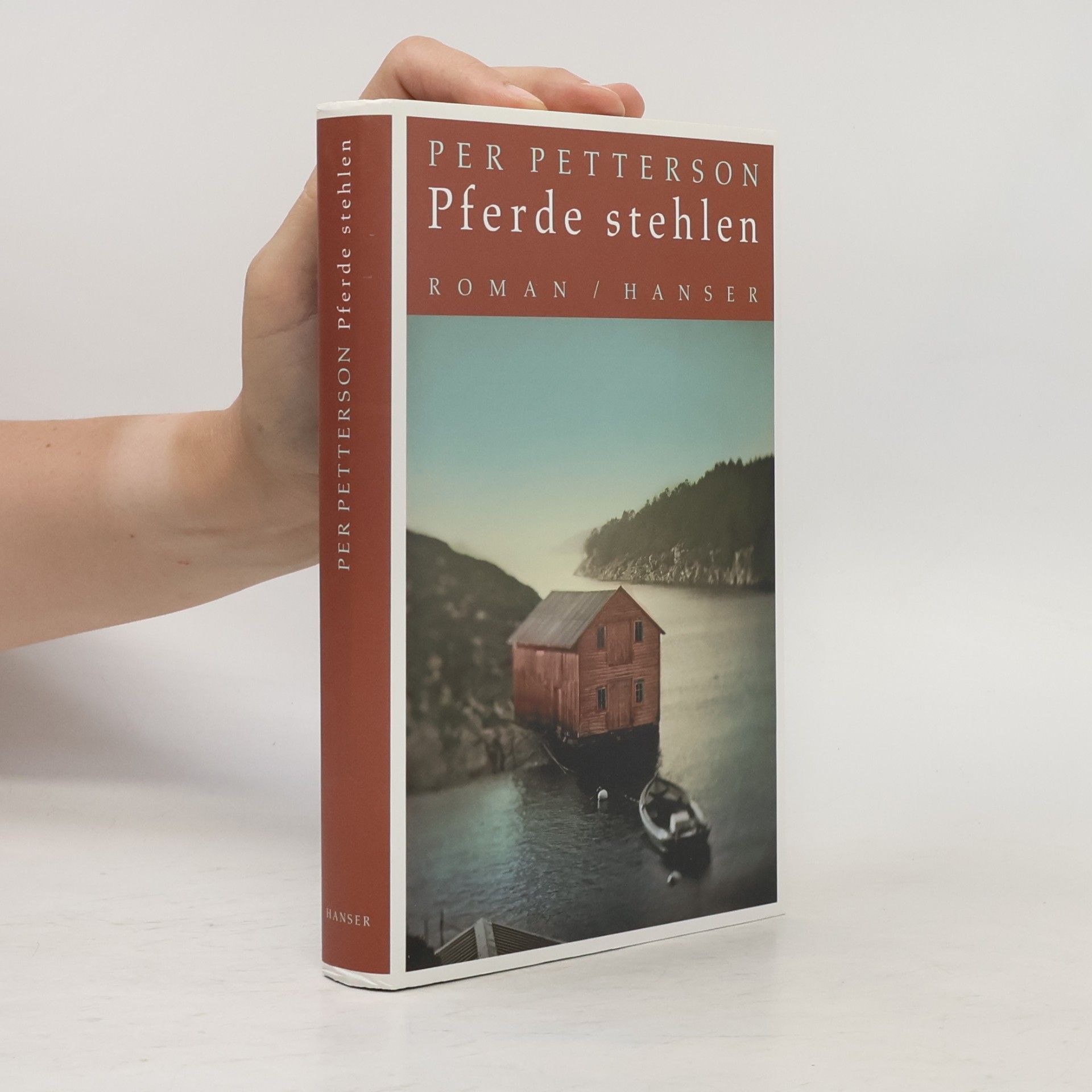 Per Petterson Pferde stehlen