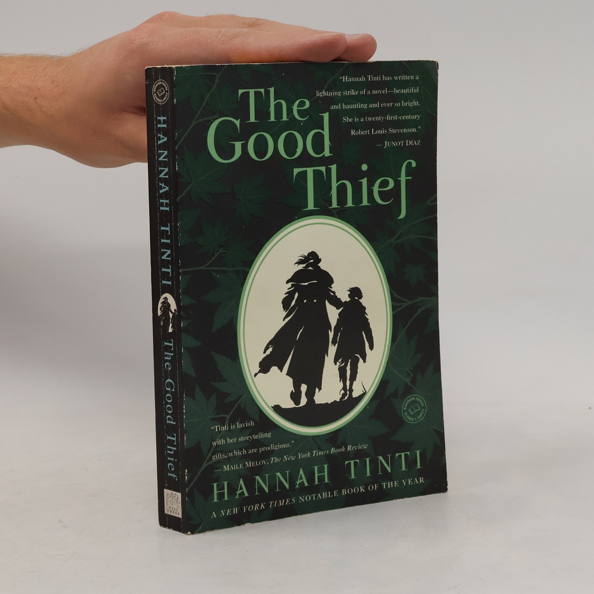 Hannah Tinti The Good Thief