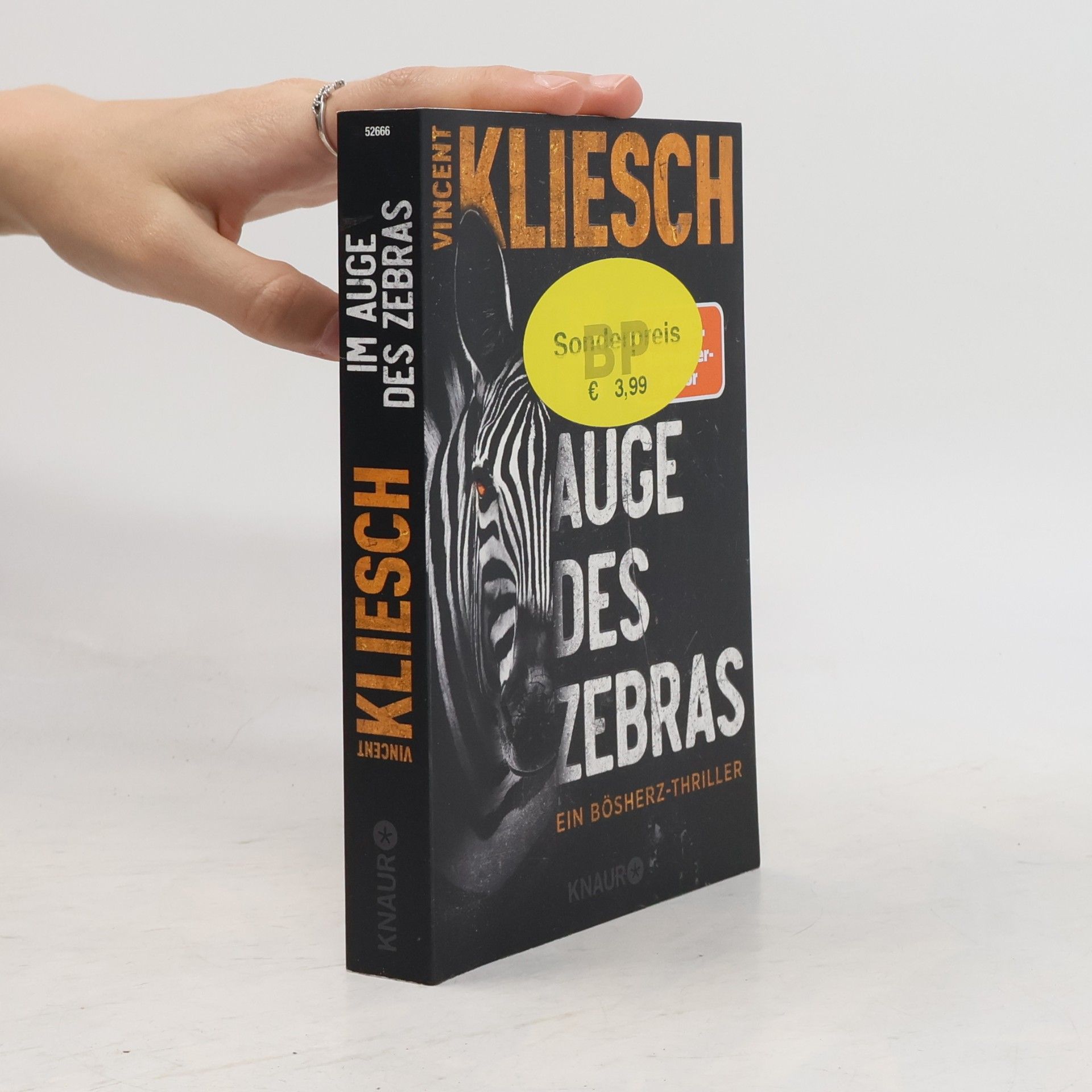 Vincent Kliesch Im Auge des Zebras