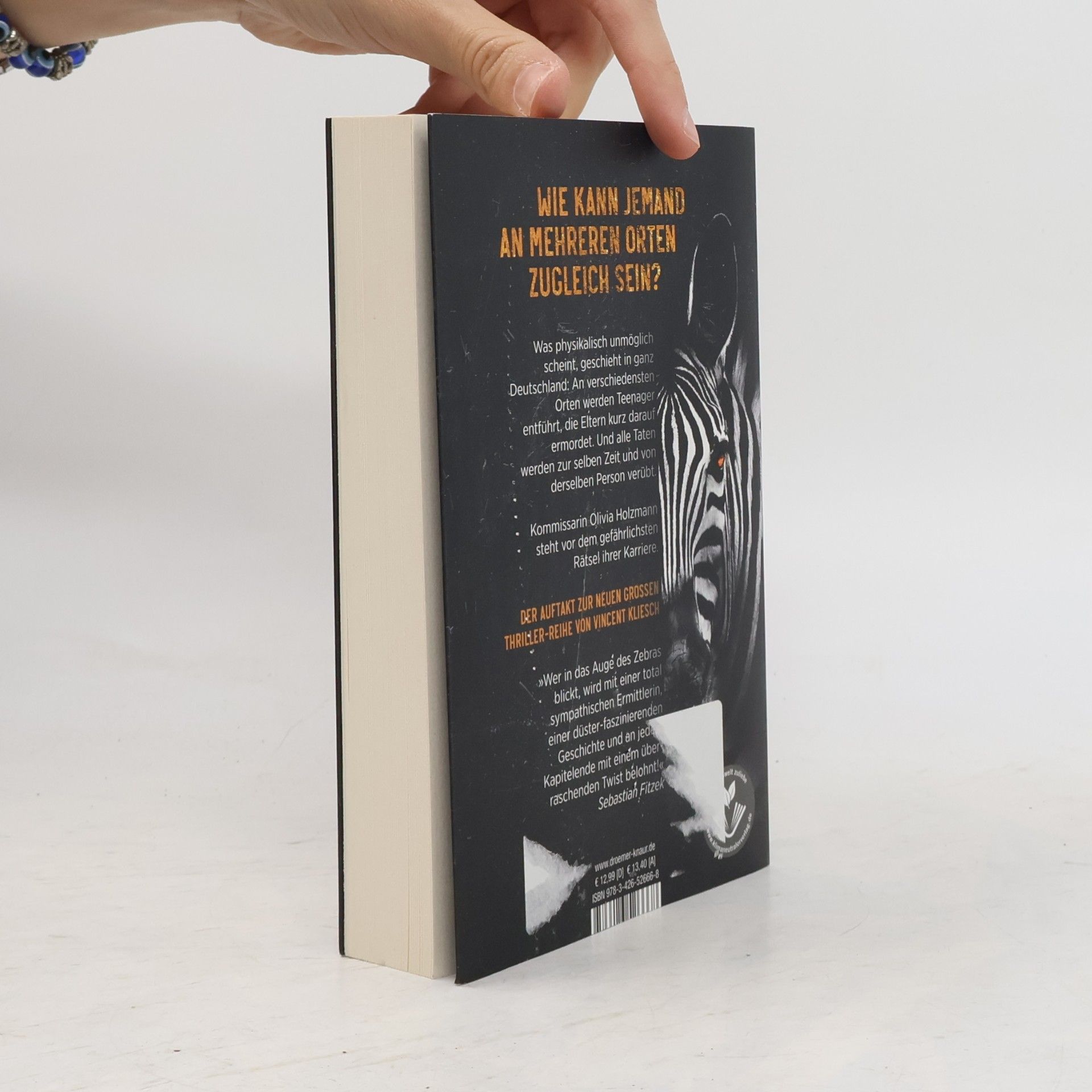 Vincent Kliesch Im Auge des Zebras