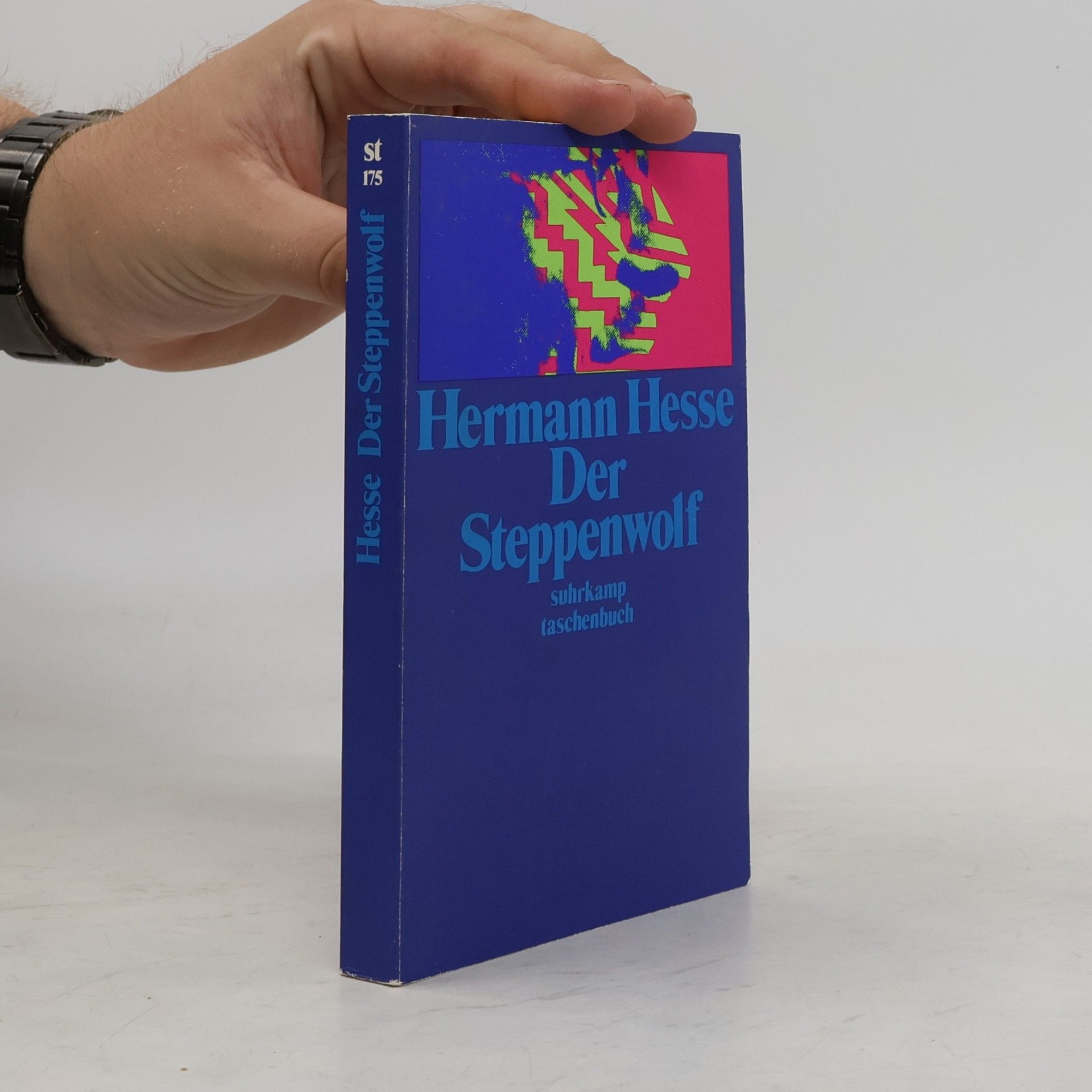 Hermann Hesse Der Steppenwolf