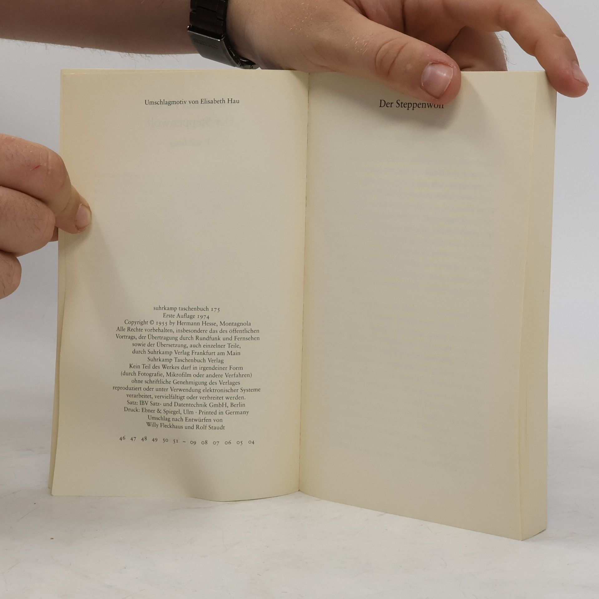 Hermann Hesse Der Steppenwolf