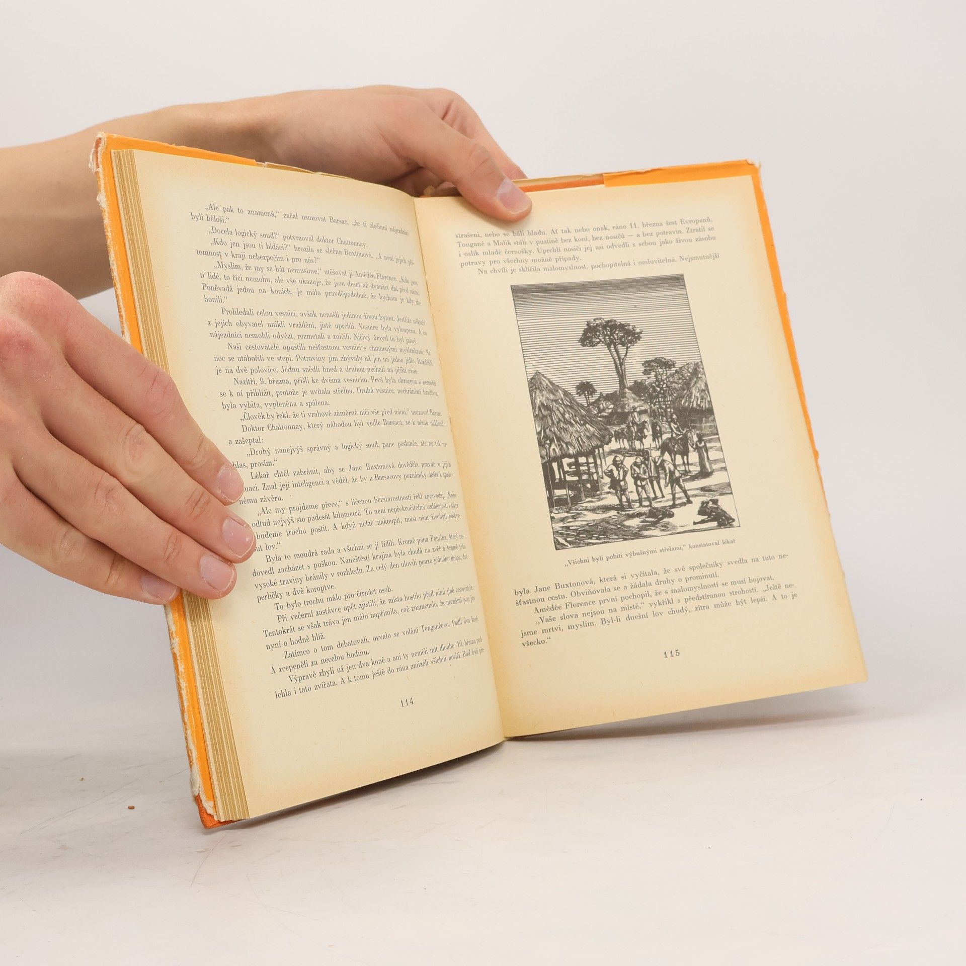 Jules Verne Podivuhodná dobrodružství výpravy Barsacovy