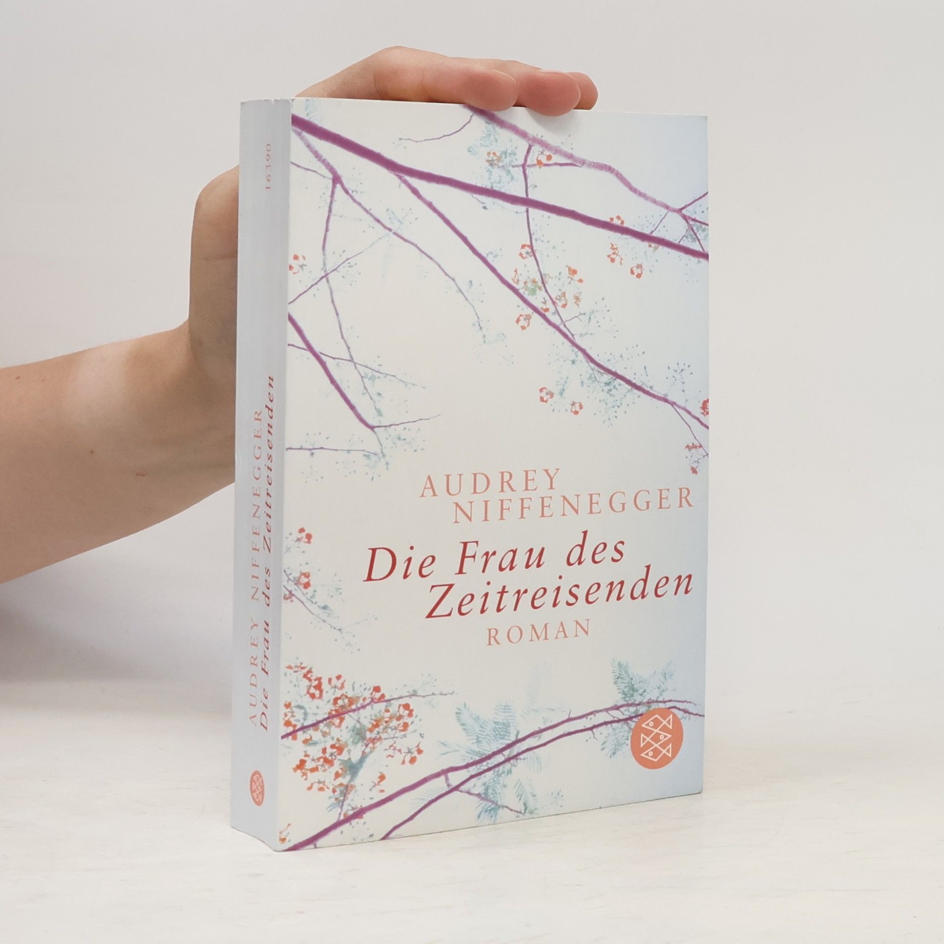 Audrey Niffenegger Die Frau des Zeitreisenden