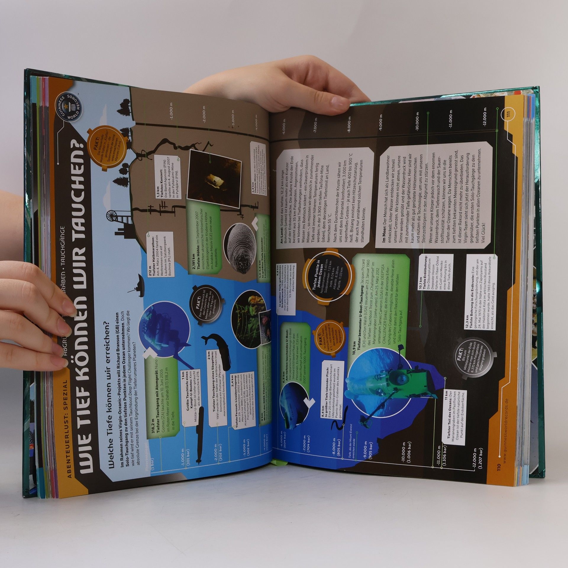 Autorenkollektiv Guinness World Records 2013