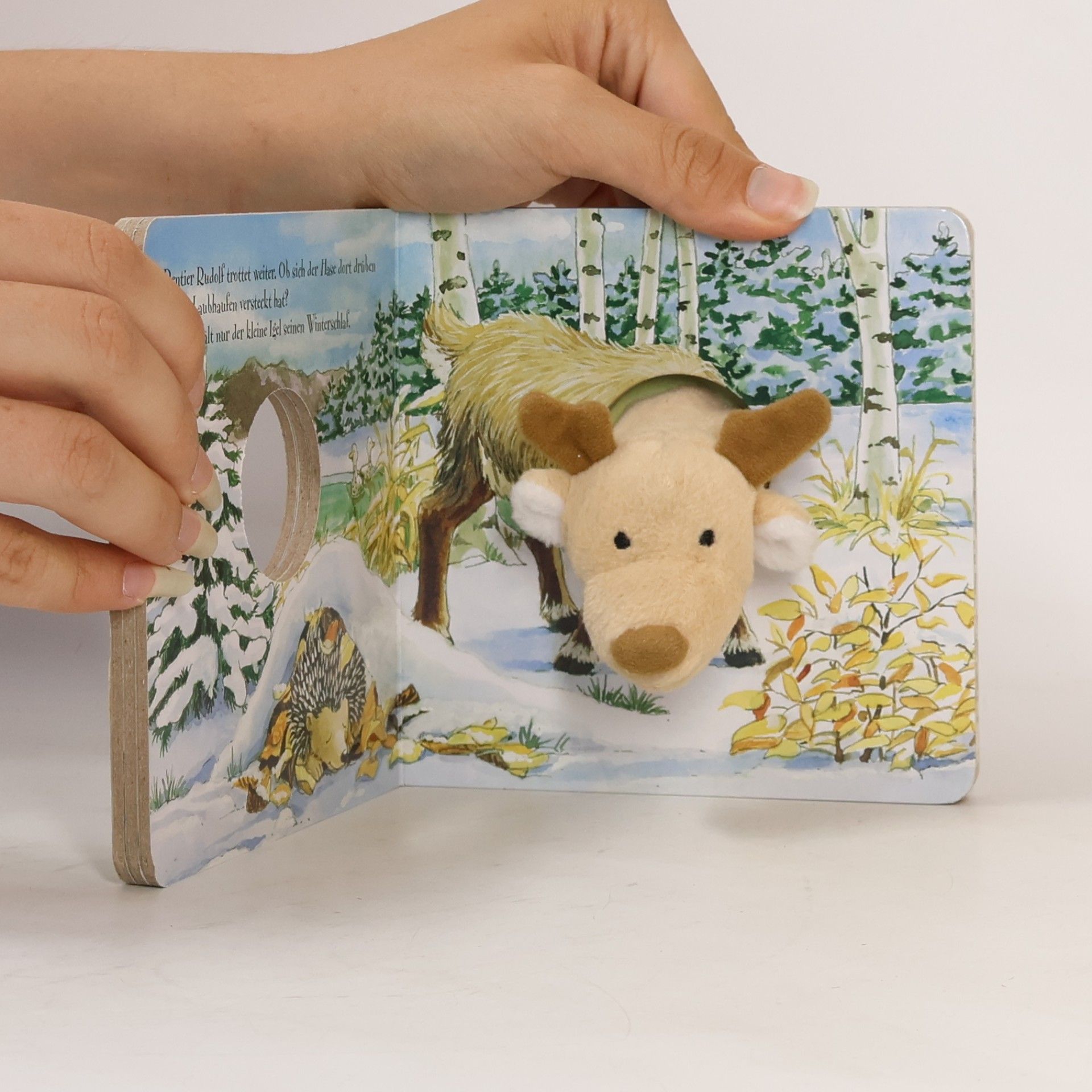Antje Flad Mein Fingerpuppenbuch mit Rentier Rudolf