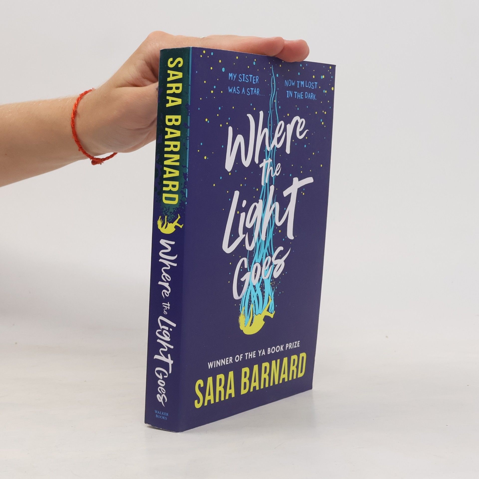 Sara Barnard Where the Light Goes