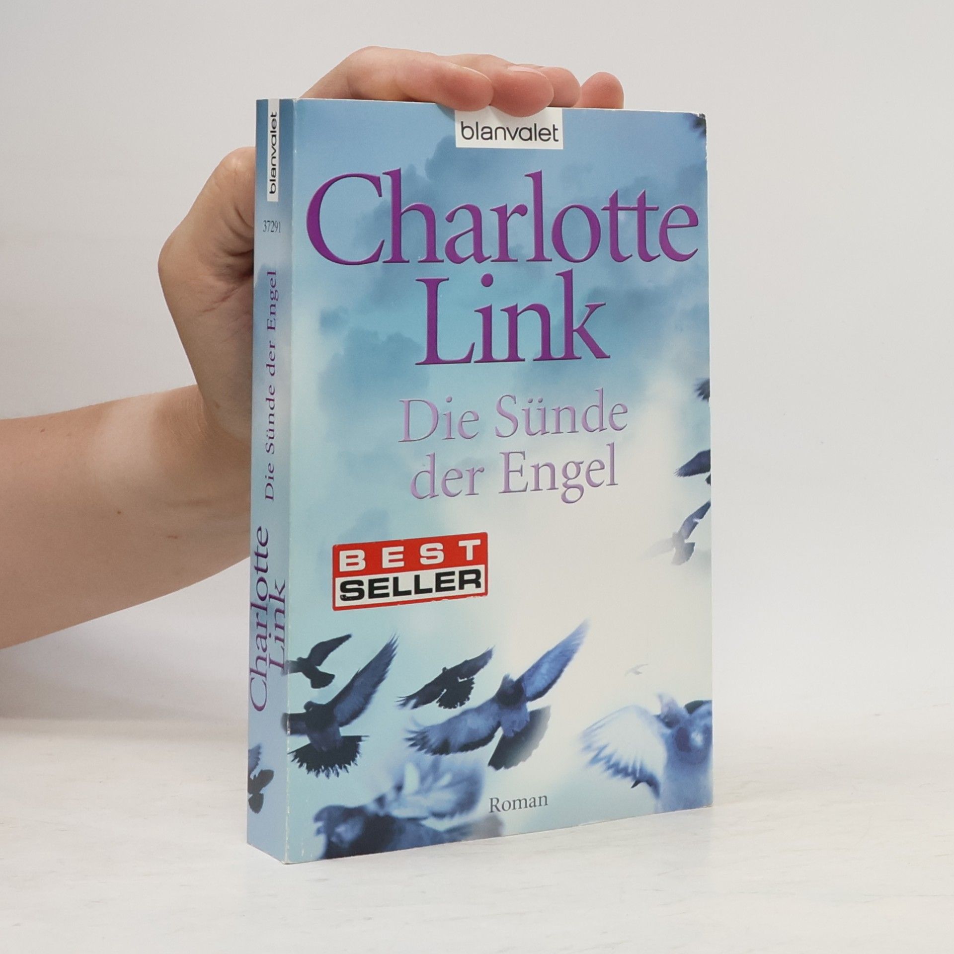 Charlotte Link Die Sünde der Engel