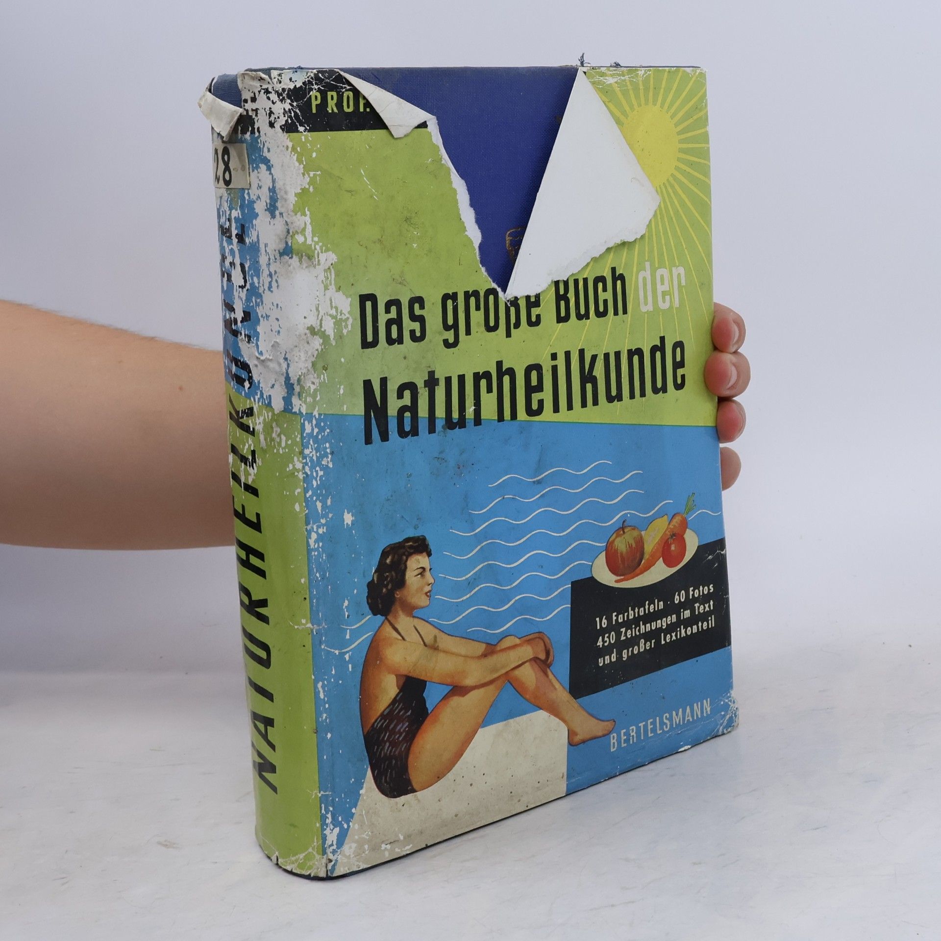 Alfred Brauchle Das große Buch den Naturheilkunde