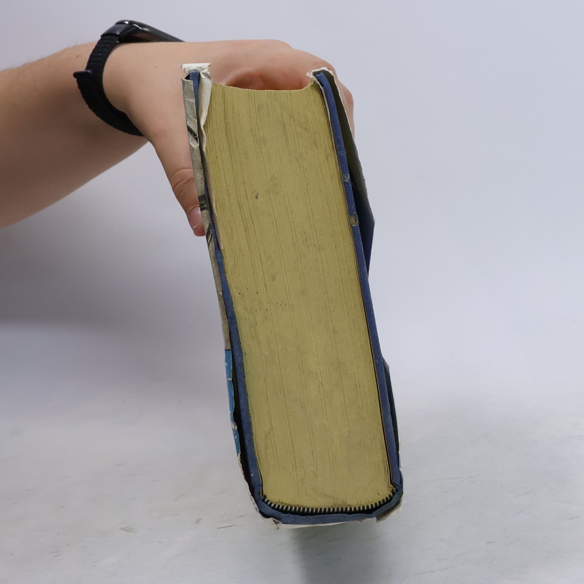 Alfred Brauchle Das große Buch den Naturheilkunde