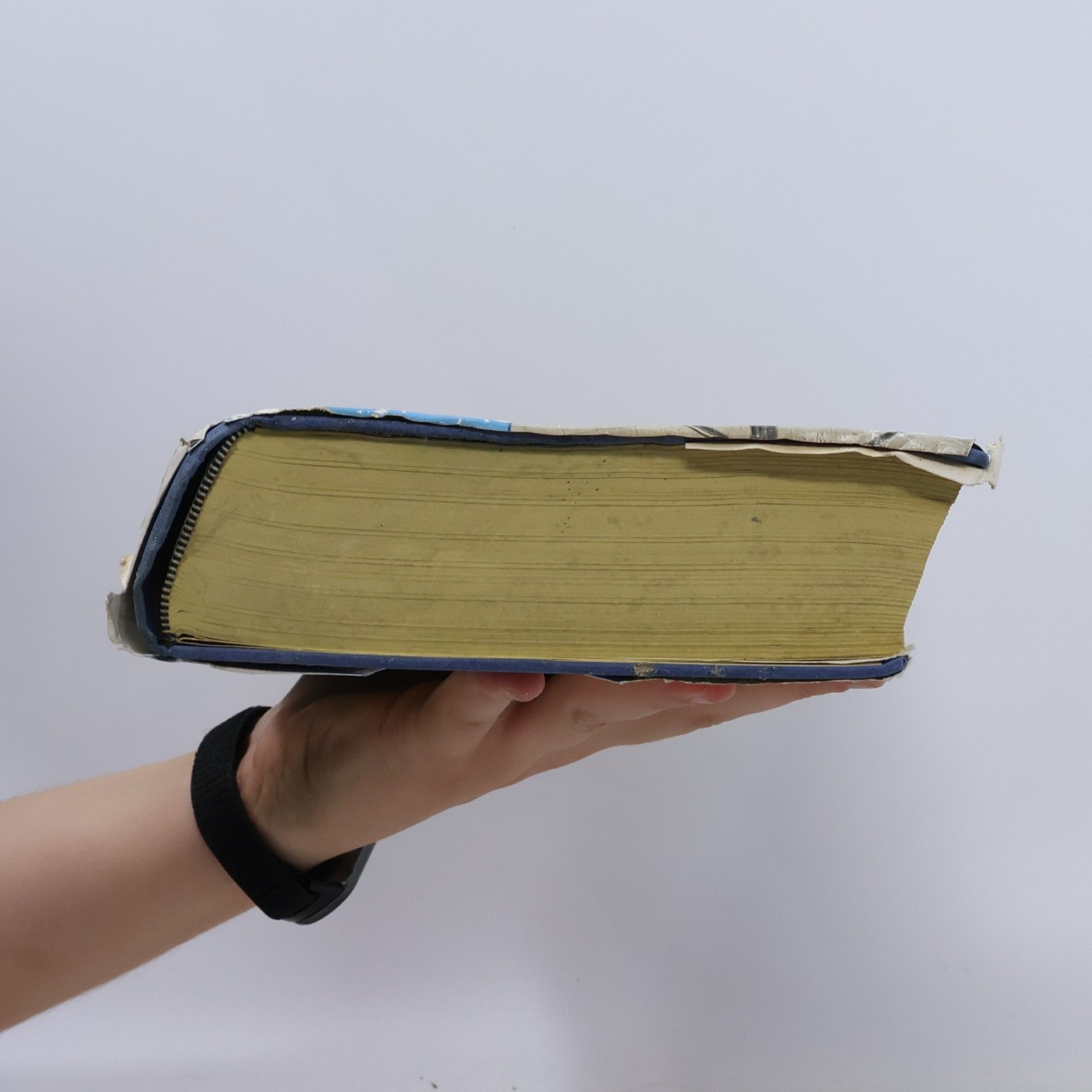 Alfred Brauchle Das große Buch den Naturheilkunde