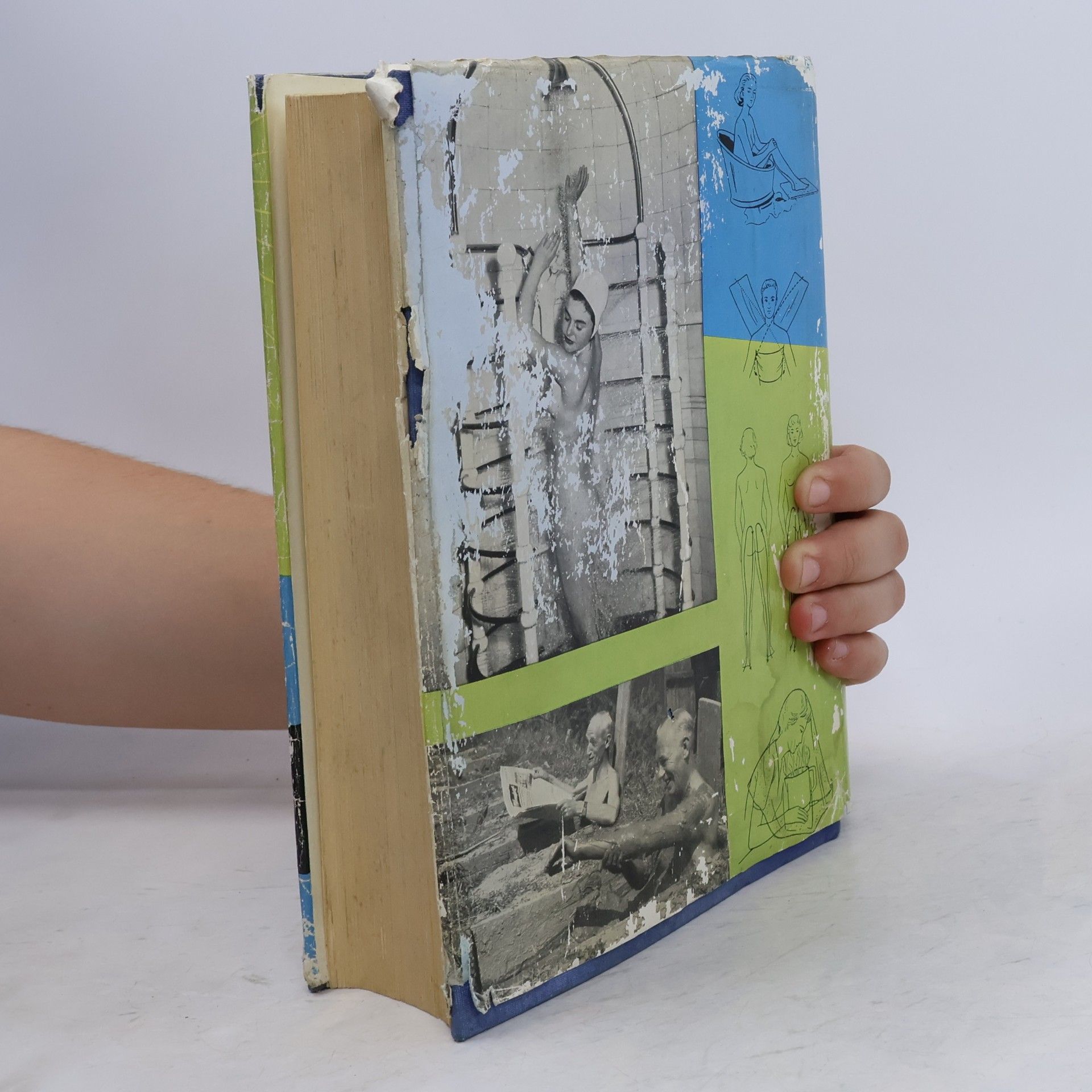 Alfred Brauchle Das große Buch den Naturheilkunde