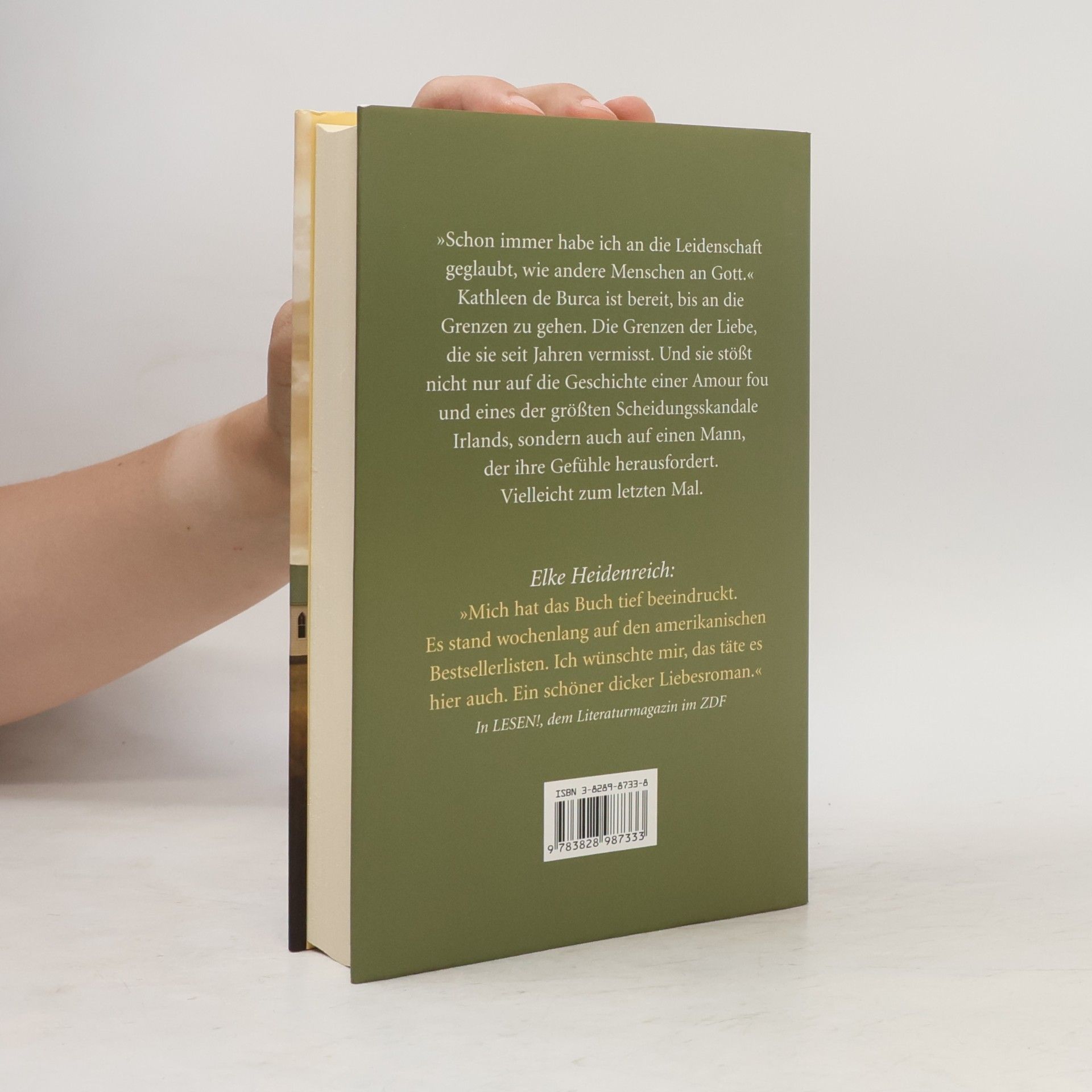 Nuala O. Faolain Ein alter Traum von Liebe