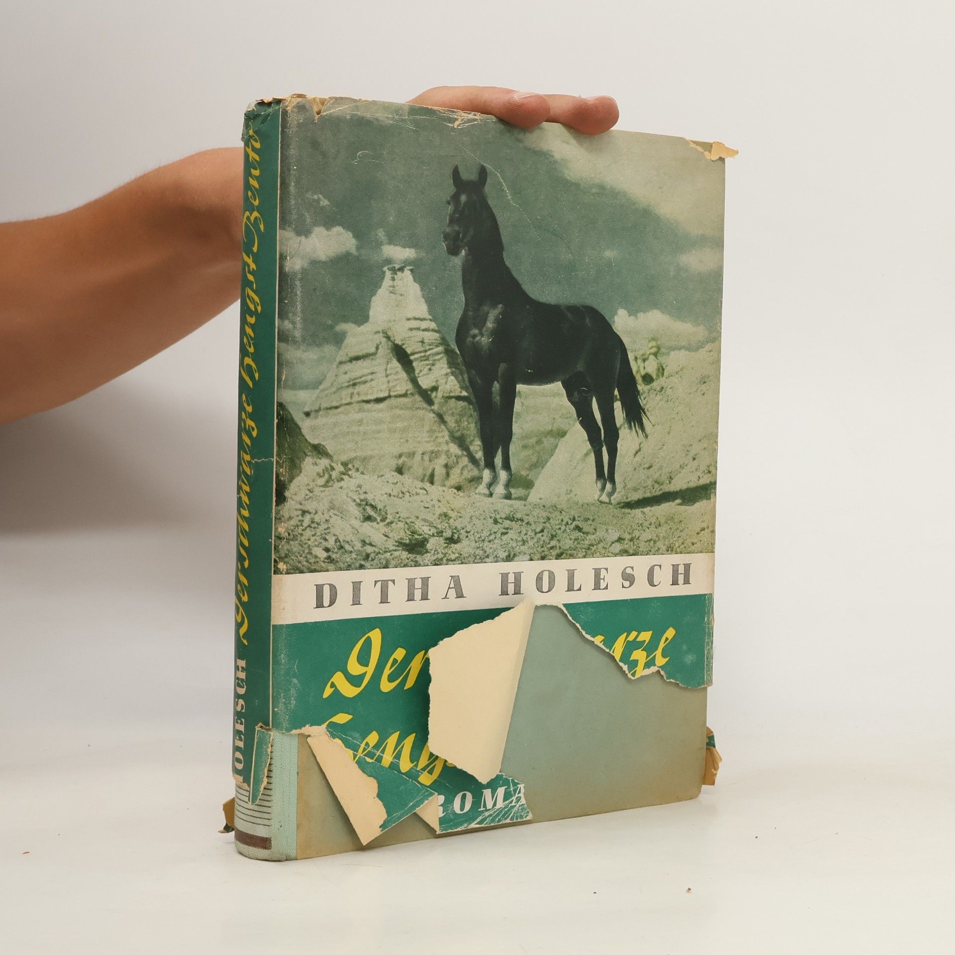 Ditha Holesch Der schwarze Hengst Bento