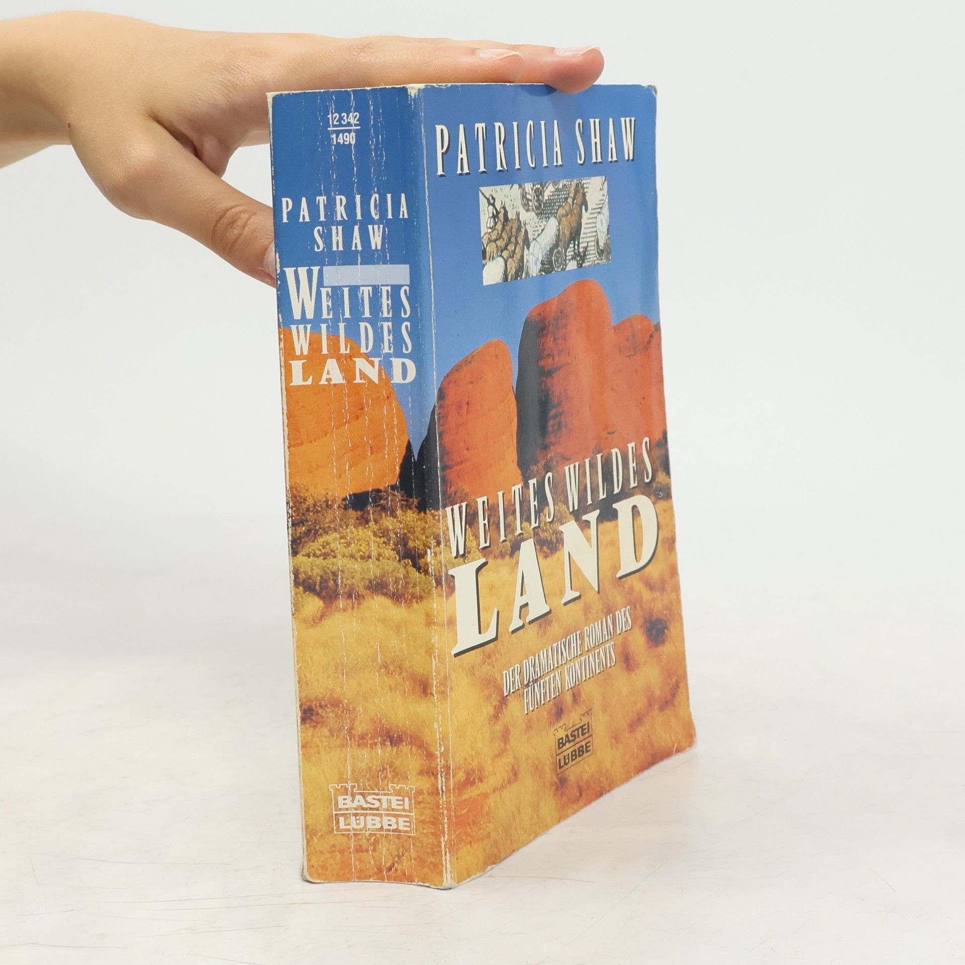 Patricia Shaw Weites wildes Land