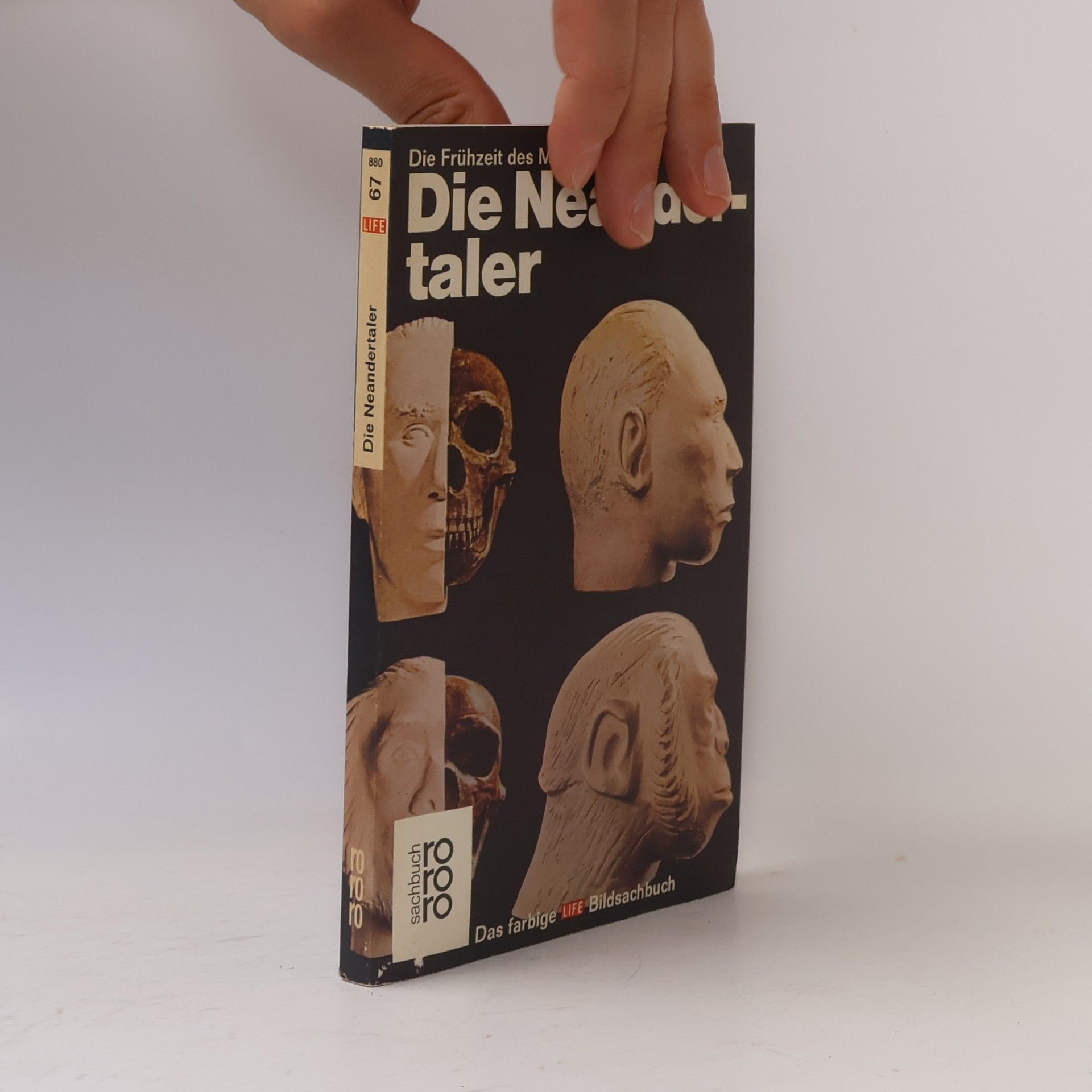 George Constable Die Neandertaler