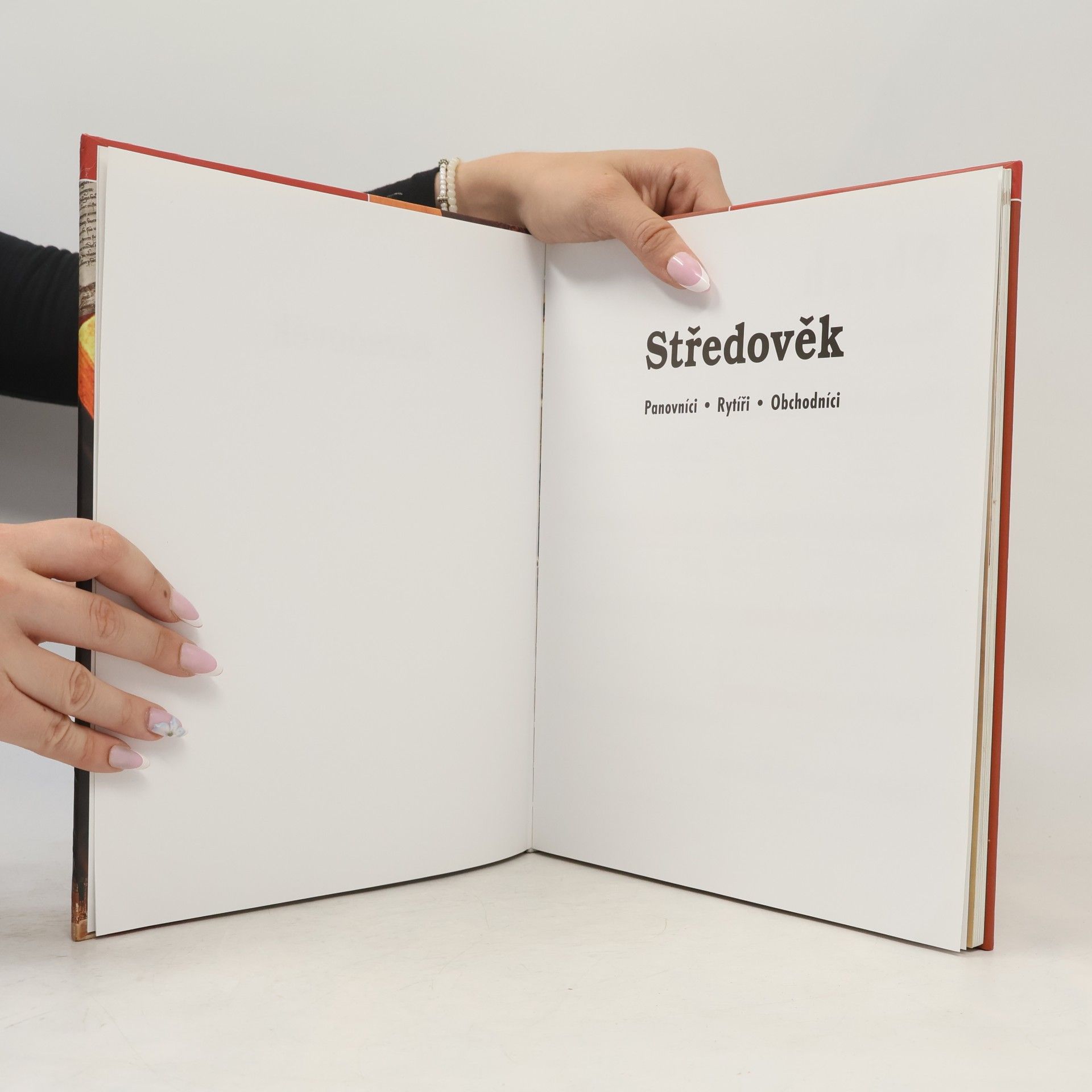 Šárka Stellner Středověk. Panovníci, rytíři, obchodníci